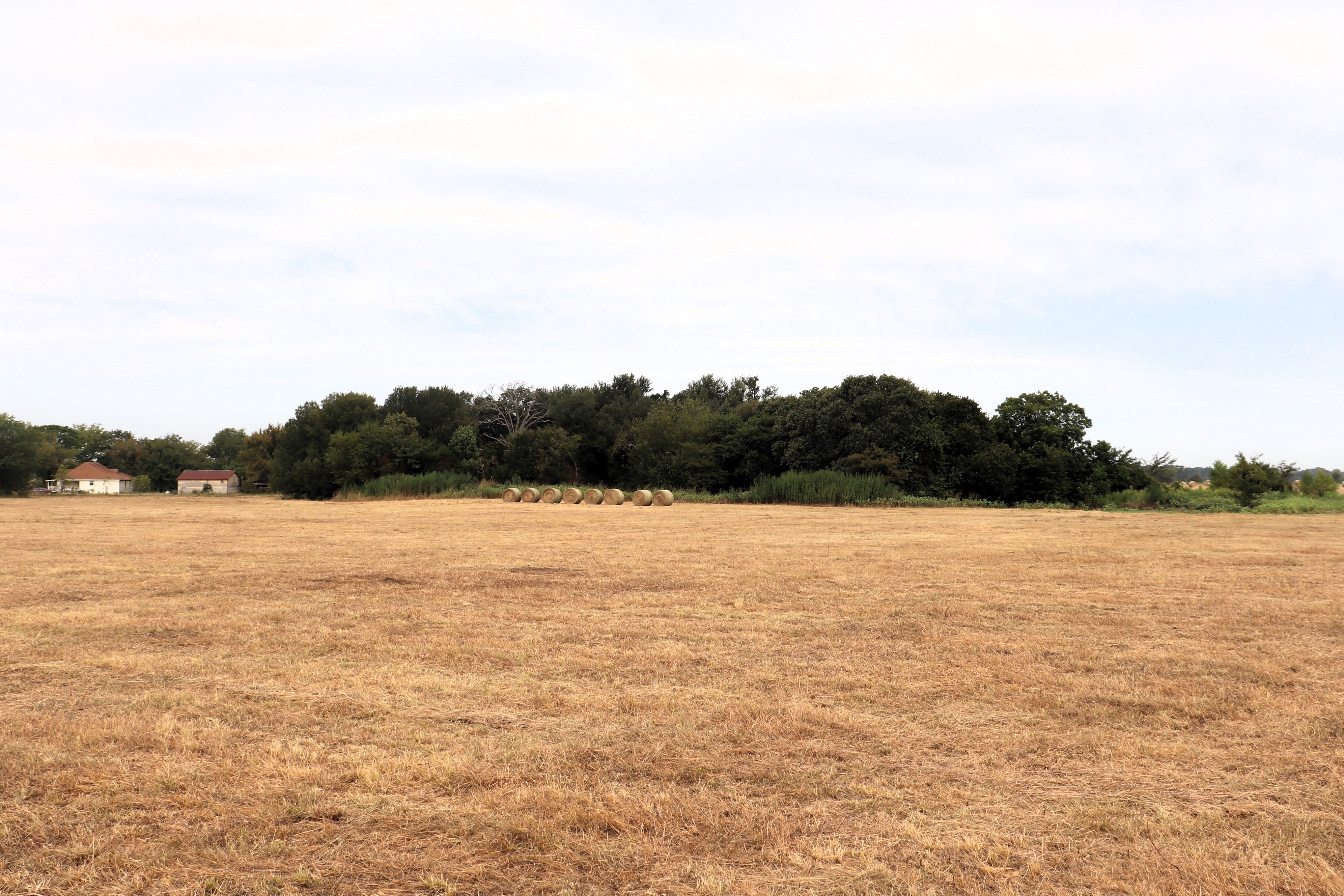 Cumby, Texas, 75433, United States, ,Land,For Sale,1987346