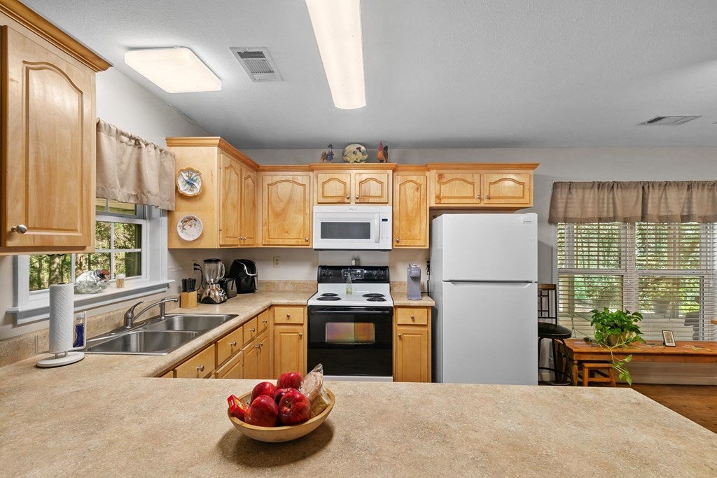 Midland City, Alabama, 36350, United States, 4 Bedrooms Bedrooms, ,3 BathroomsBathrooms,Residential,For Sale,1989153