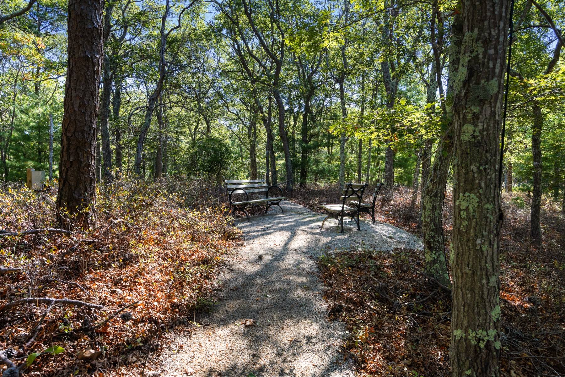  Dazzling East Hampton Compound Featured in Architectural Digest - 物件實景