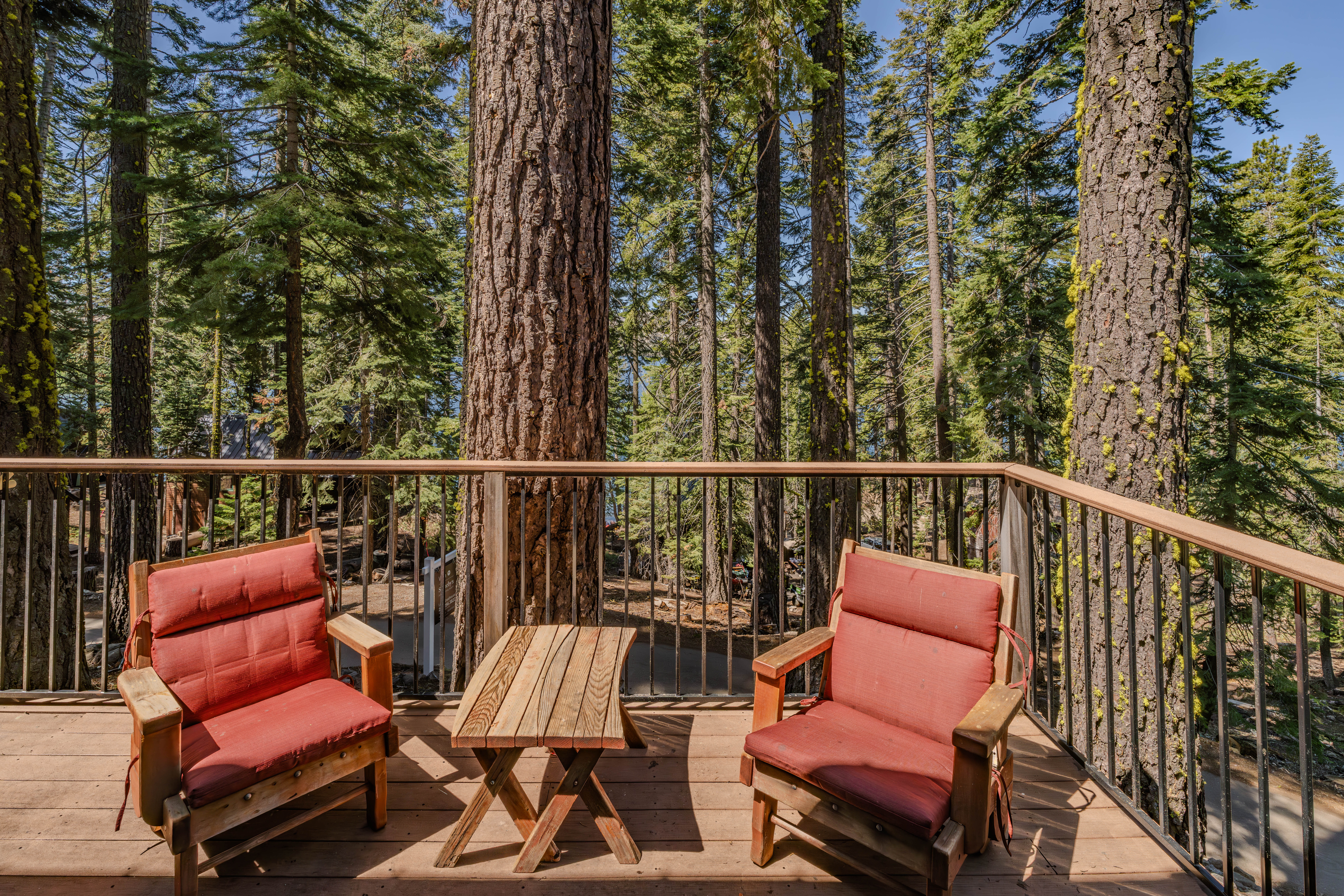  31790 Kit Carson Road, Pioneer, CA 95666 - 物件實景
