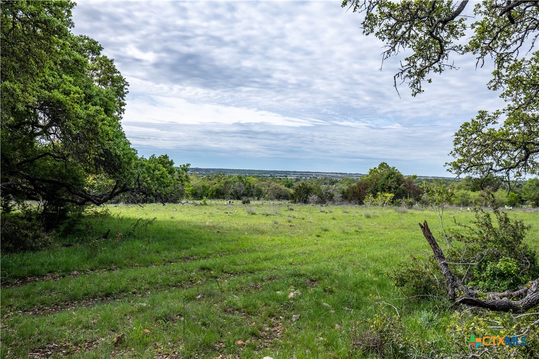 San Marcos, Texas, 78666, United States, ,Land,For Sale,1990898