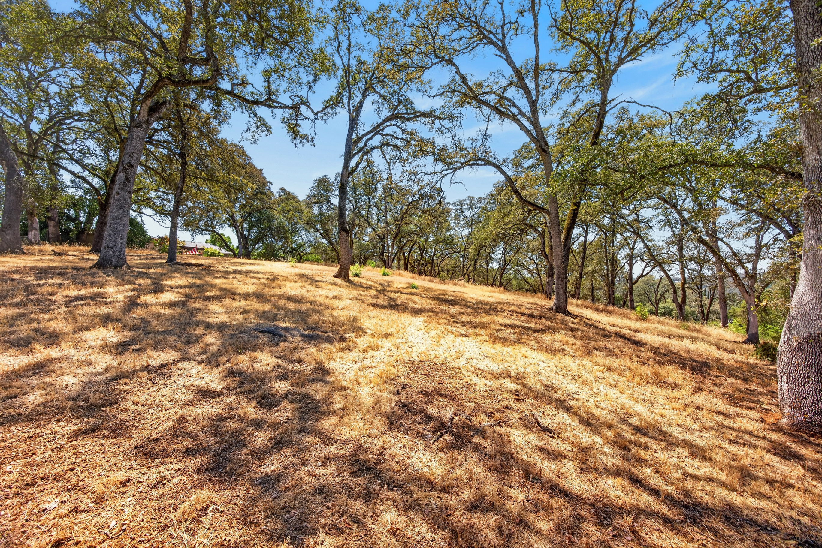  195 Park Street, Auburn, CA 95603 - 物件實景
