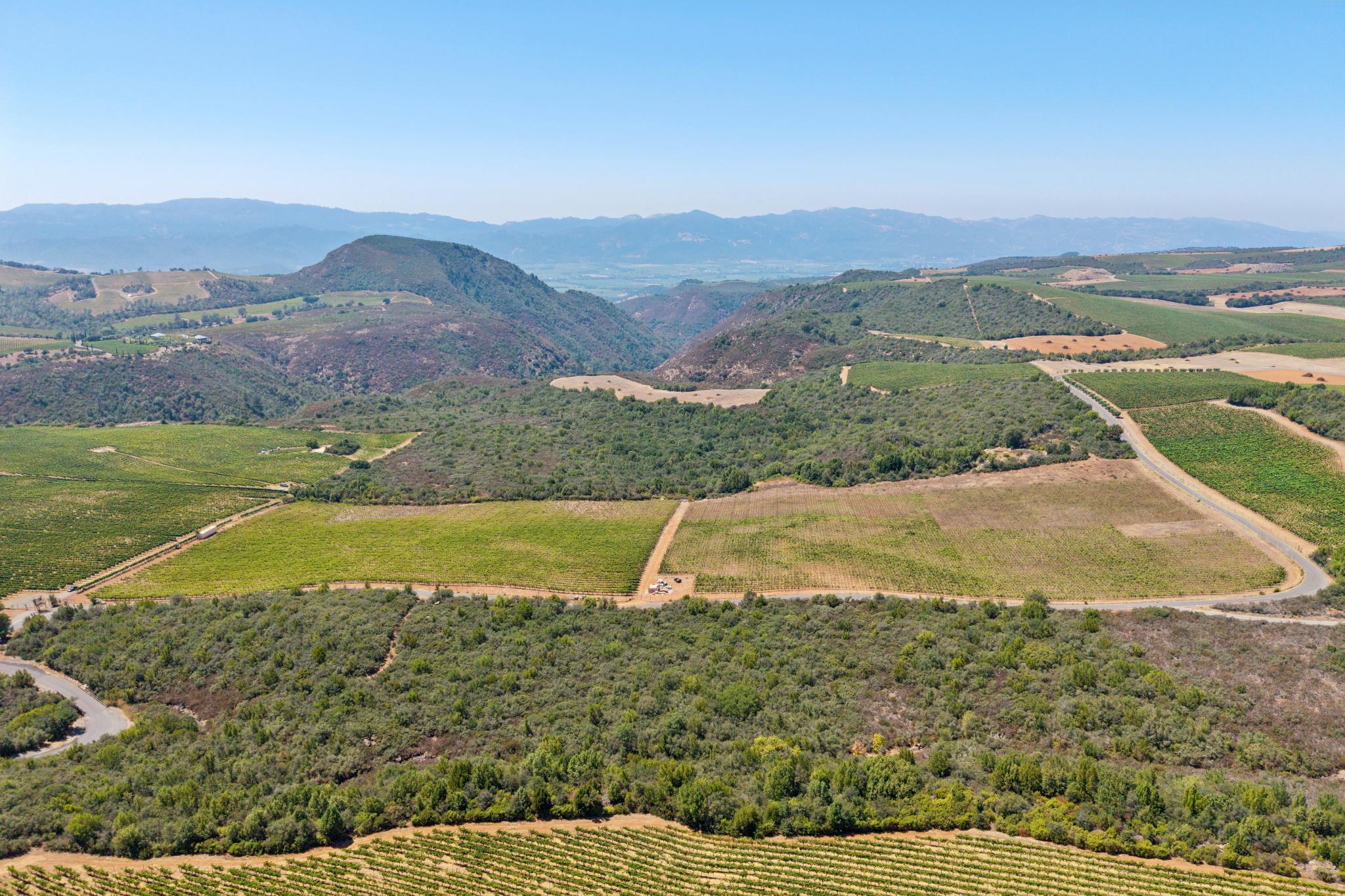  Premium Atlas Peak AVA Vineyard Opportunity - 物件實景