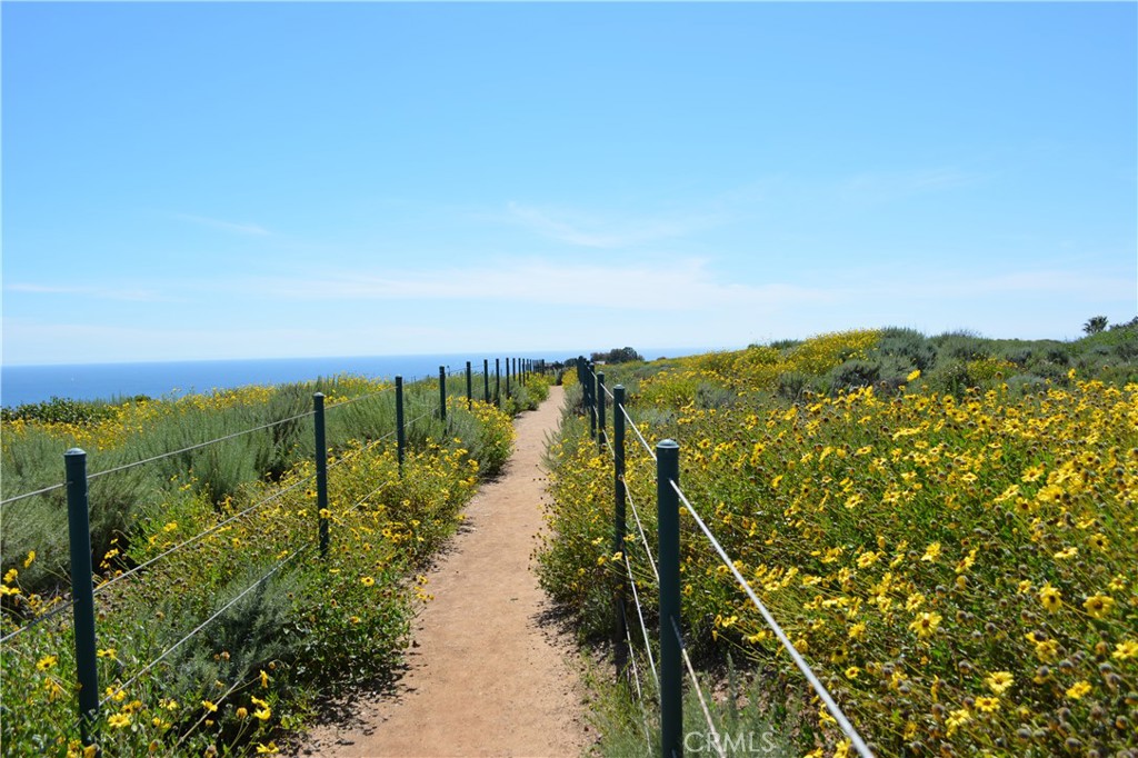 Dana Point, California, 92629, United States, ,Residential,For Sale,1924804
