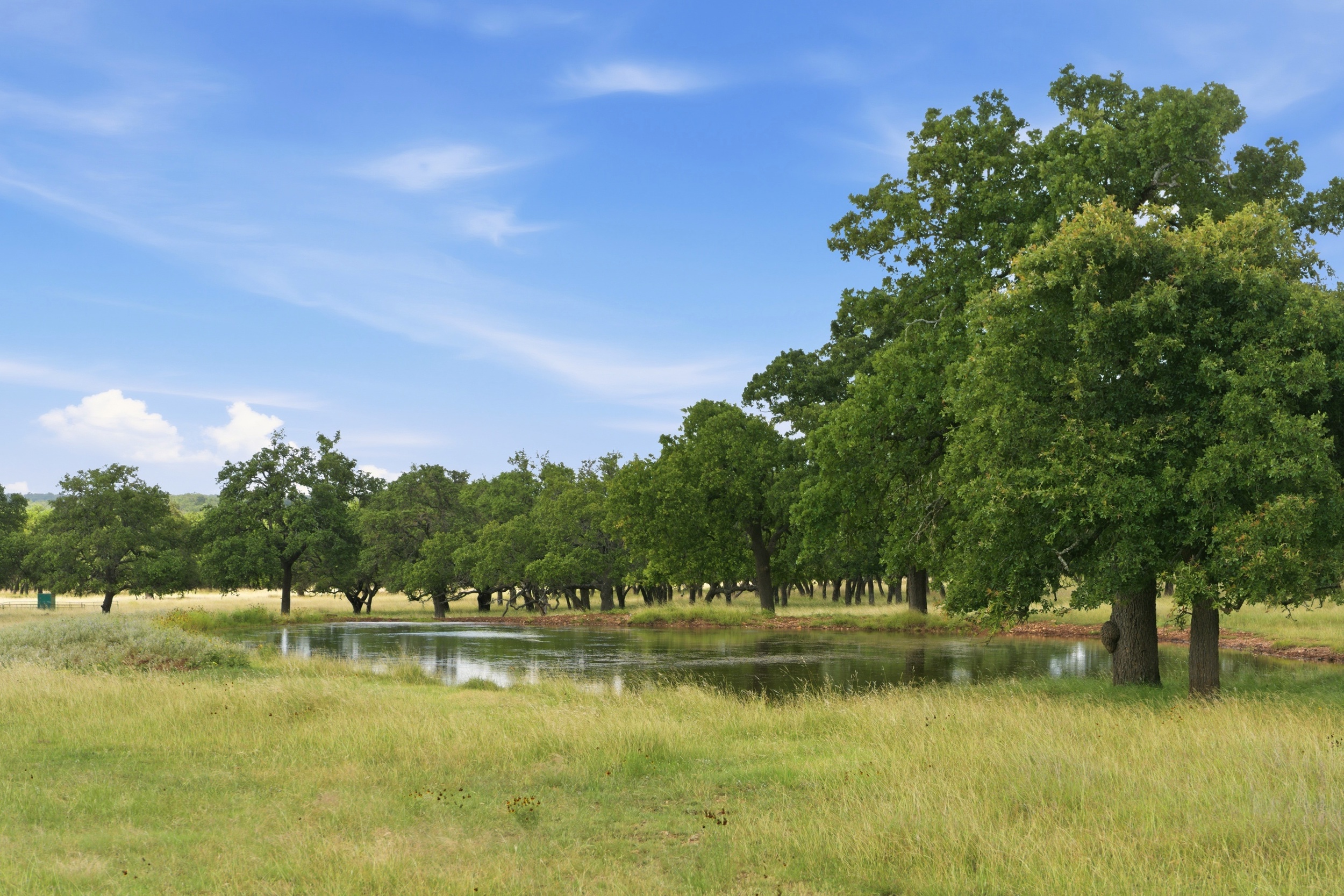  CavaLoma Ranch in Kerr COunty - 物件實景