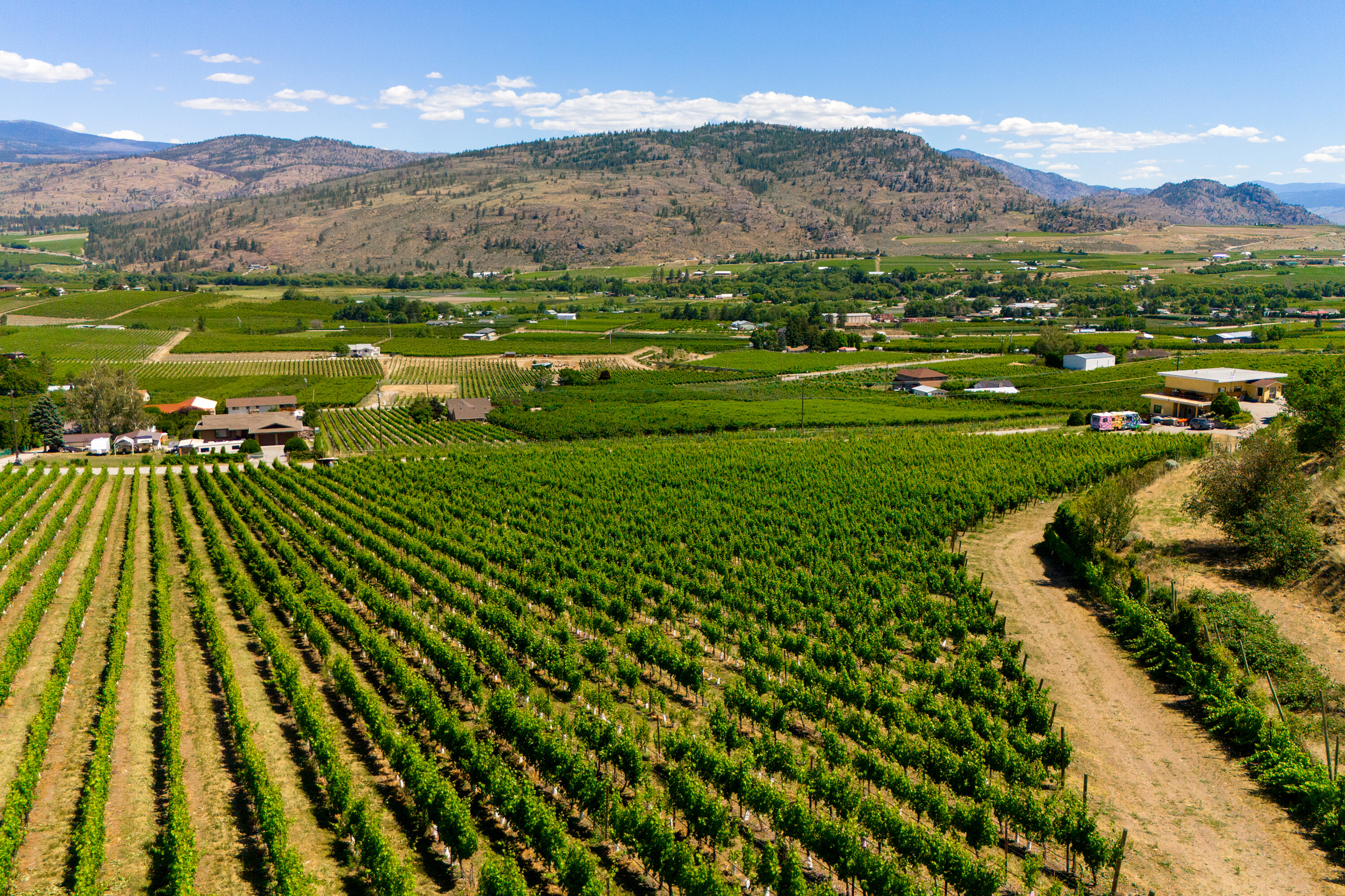  Lakefront Winery Receivership - 物件實景