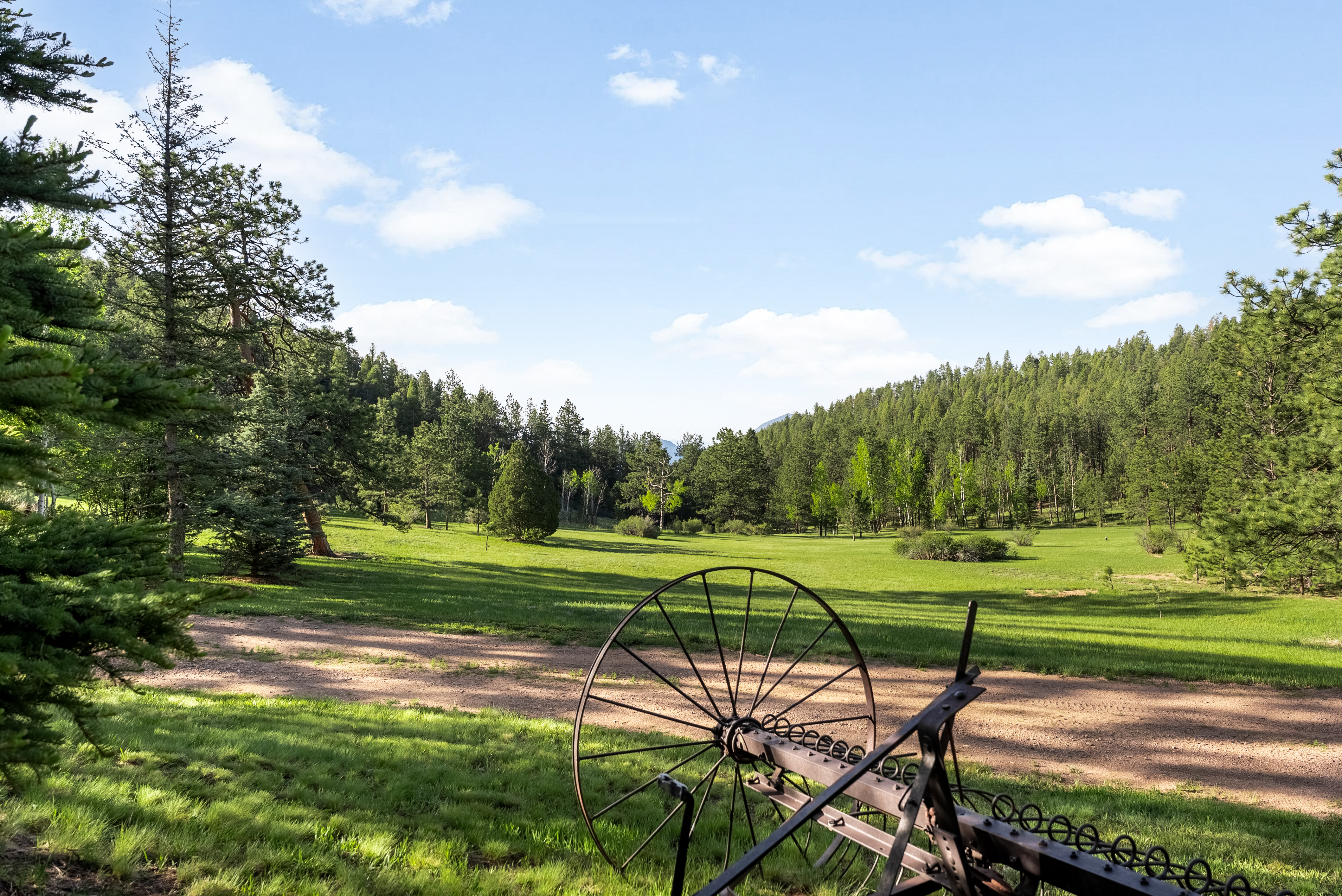  .275 acres of rolling grass, towering trees, & mountain views in every direction - 物件實景