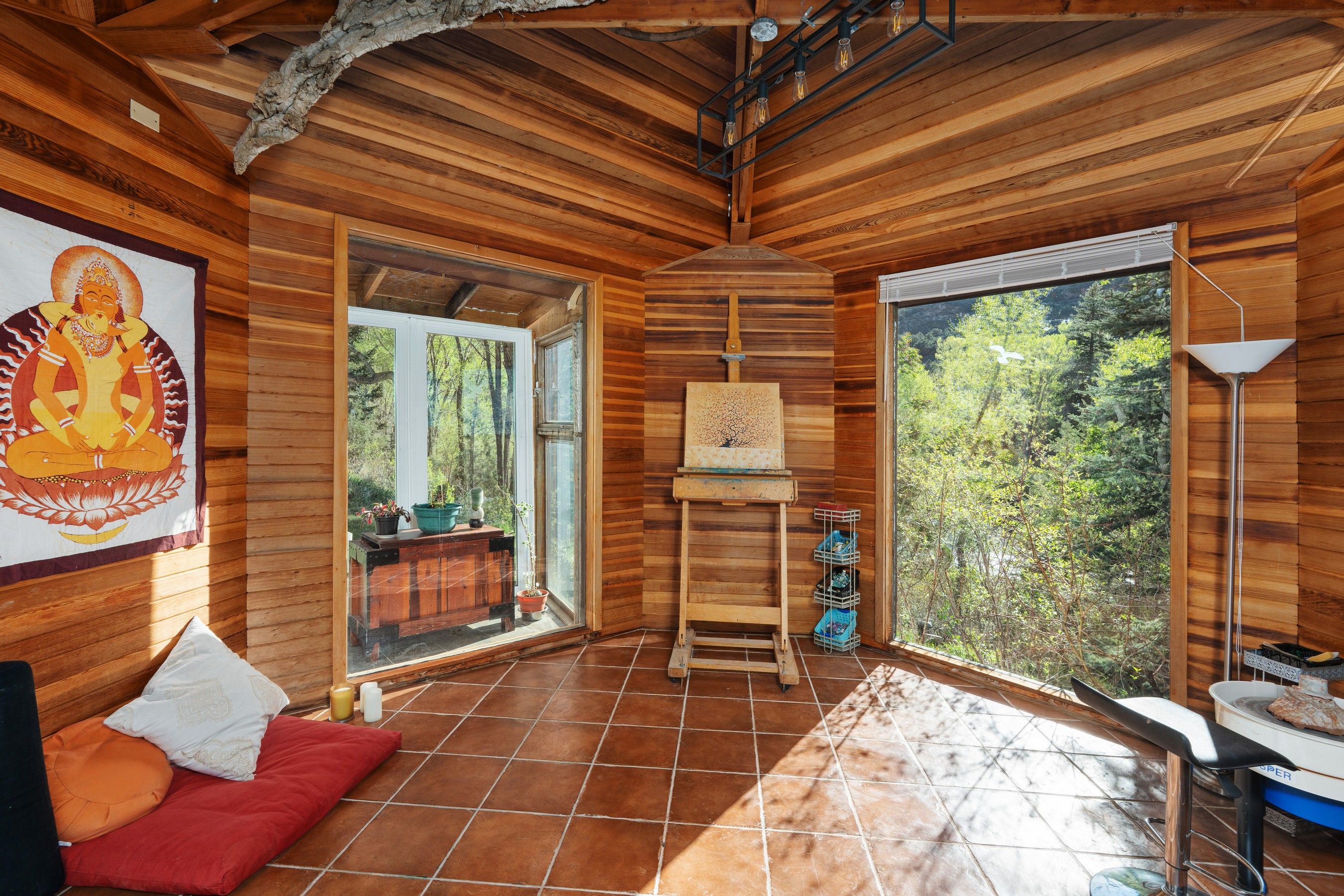  357 Crystal Lane, Carbondale, CO, 81623 - 物件實景