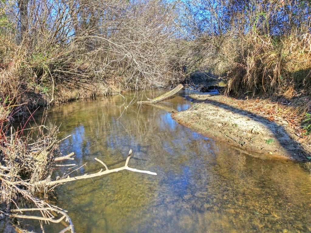 Blue Ridge, Georgia, 30513, United States, 3 Bedrooms Bedrooms, ,3 BathroomsBathrooms,Residential,For Sale,1954403