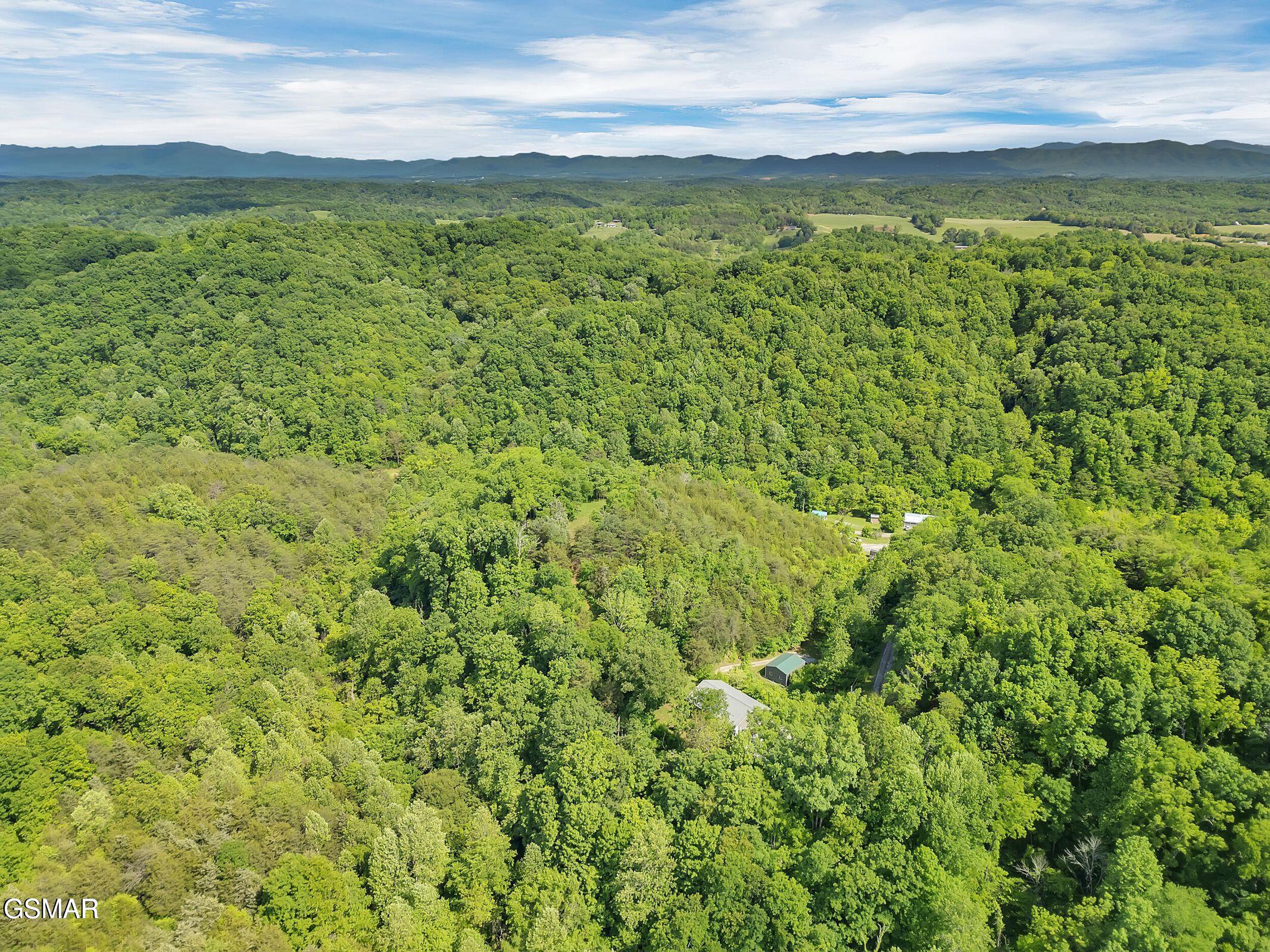 Bybee, Tennessee, 37713, United States, 4 Bedrooms Bedrooms, ,2 BathroomsBathrooms,Residential,For Sale,1980486