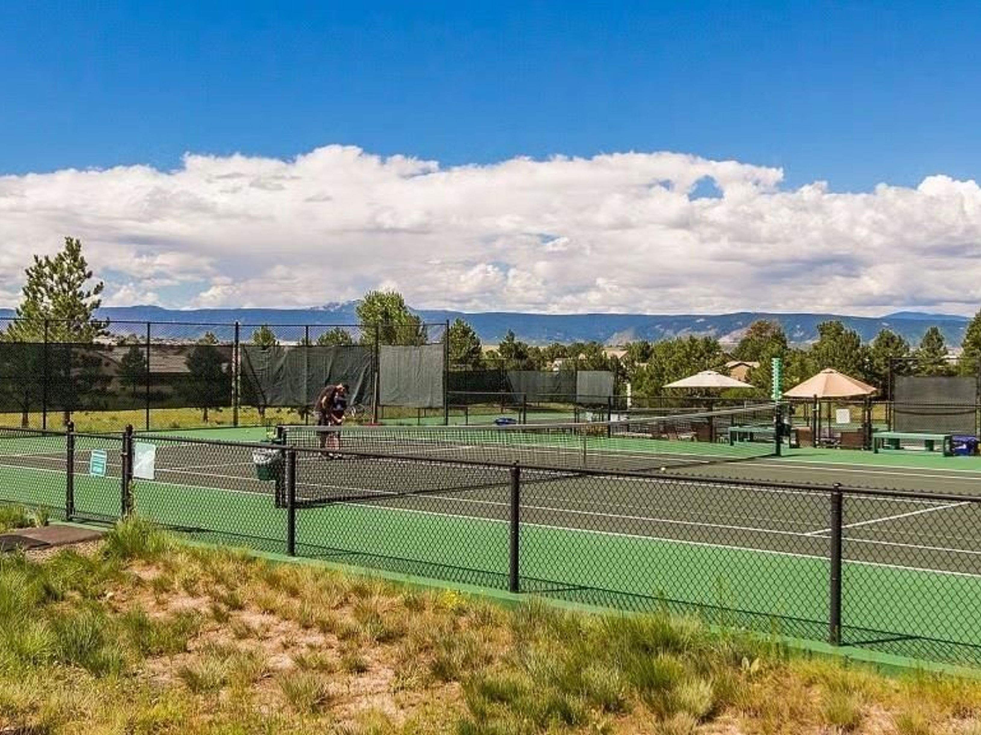  Rare In The Gated, Coveted Village At Castle Pines Community - 物件實景