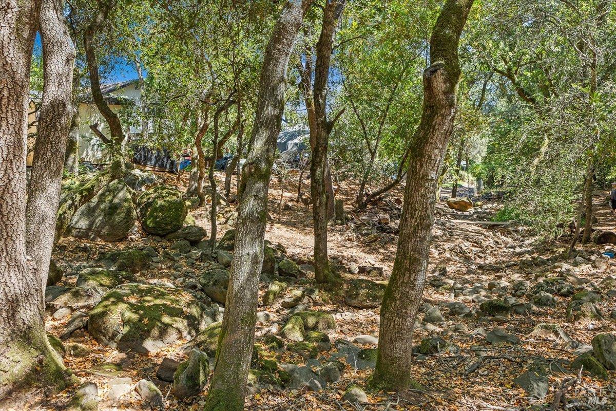 Santa Rosa, California, 95404, United States, ,Residential,For Sale,1921848