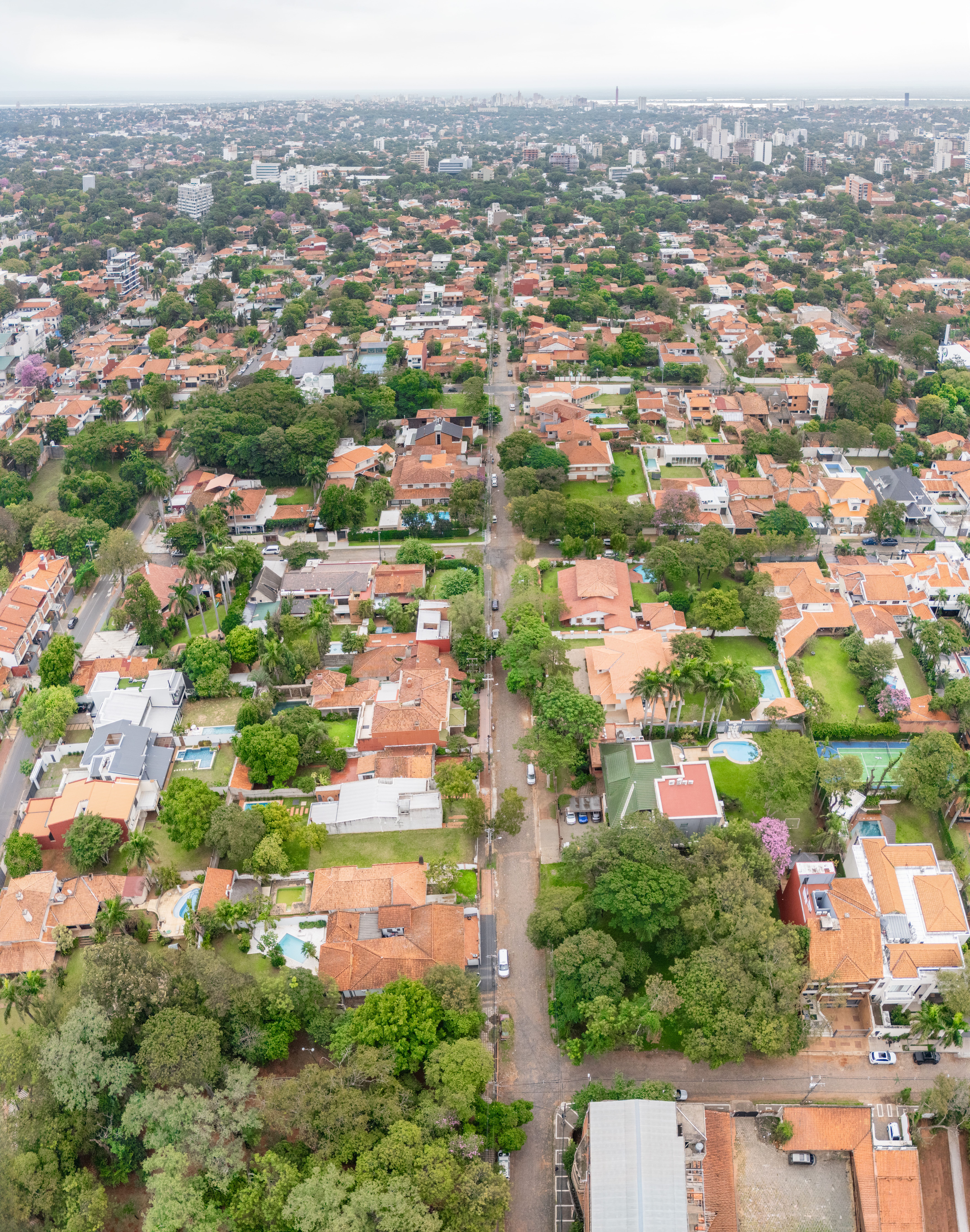  Exclusive Lot in Mcal. Estigarribia Neighborhood - 物件實景