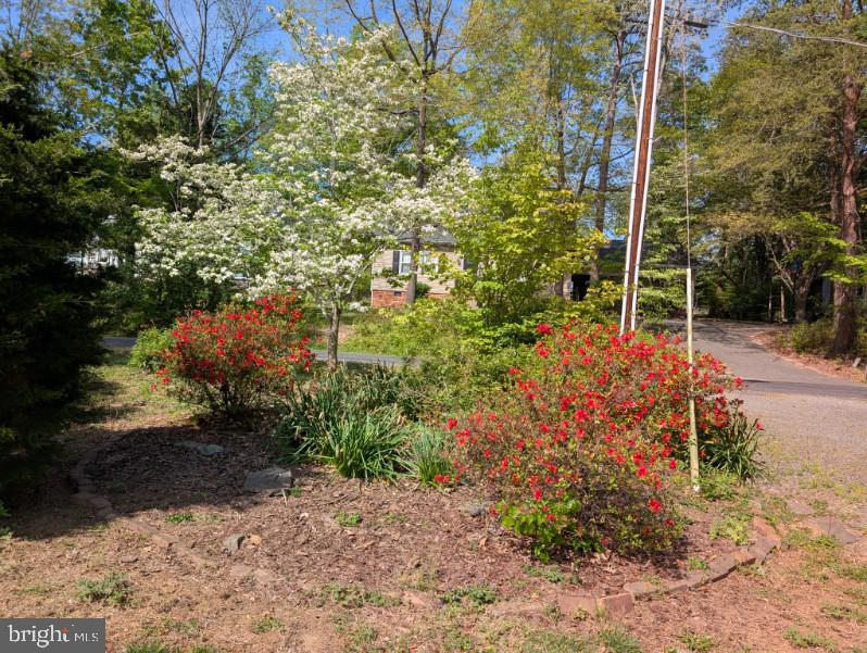 Locust Grove, Virginia, 22508, United States, 4 Bedrooms Bedrooms, ,4 BathroomsBathrooms,Residential,For Sale,1810650