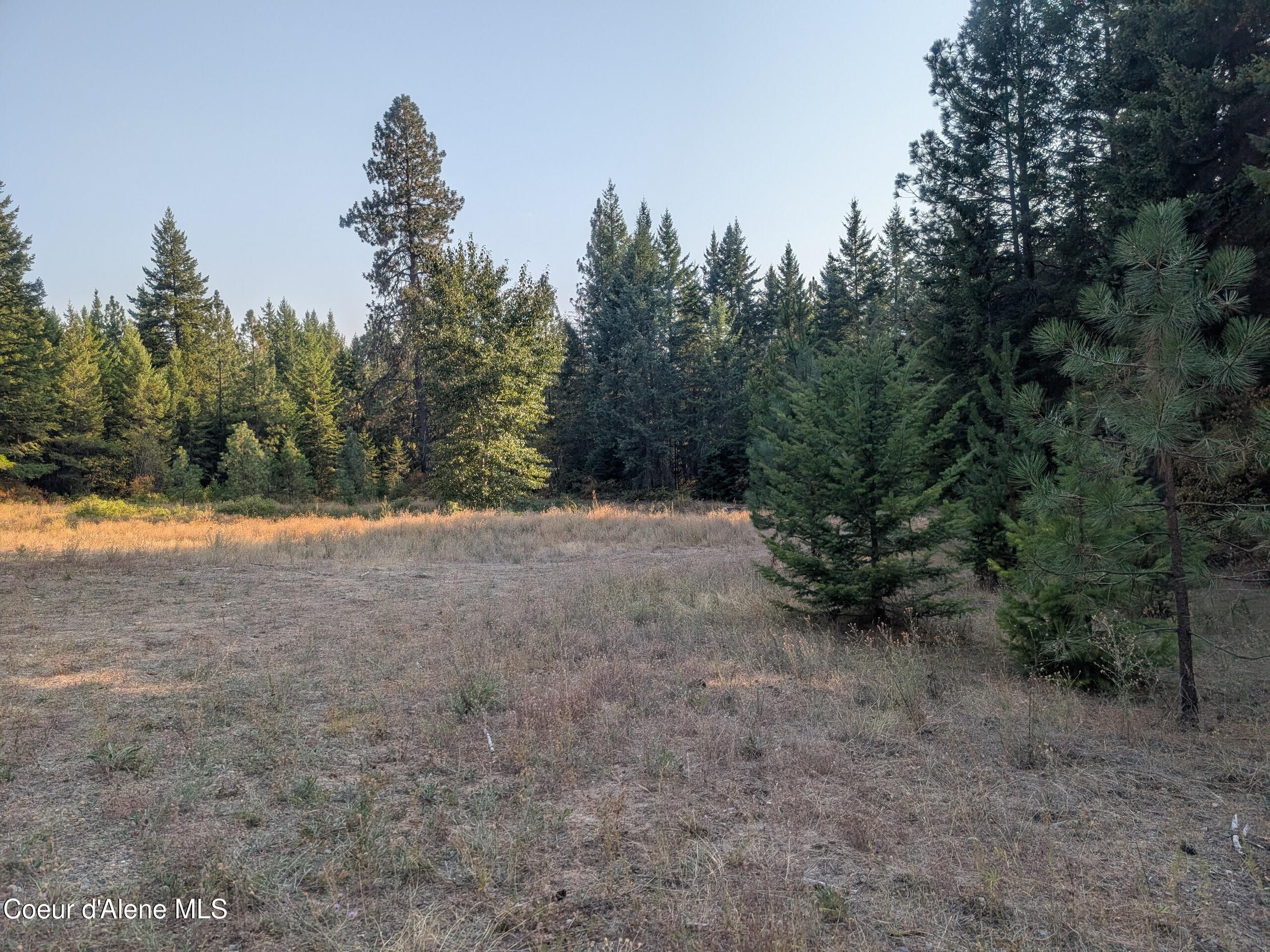 Spirit Lake, Idaho, 83869, United States, ,Land,For Sale,1981864