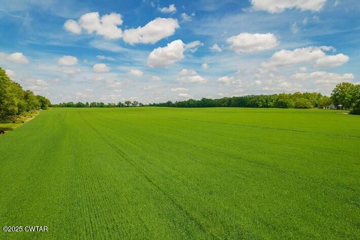 Brownsville, Tennessee, 38012, United States, ,Land,For Sale,1894794