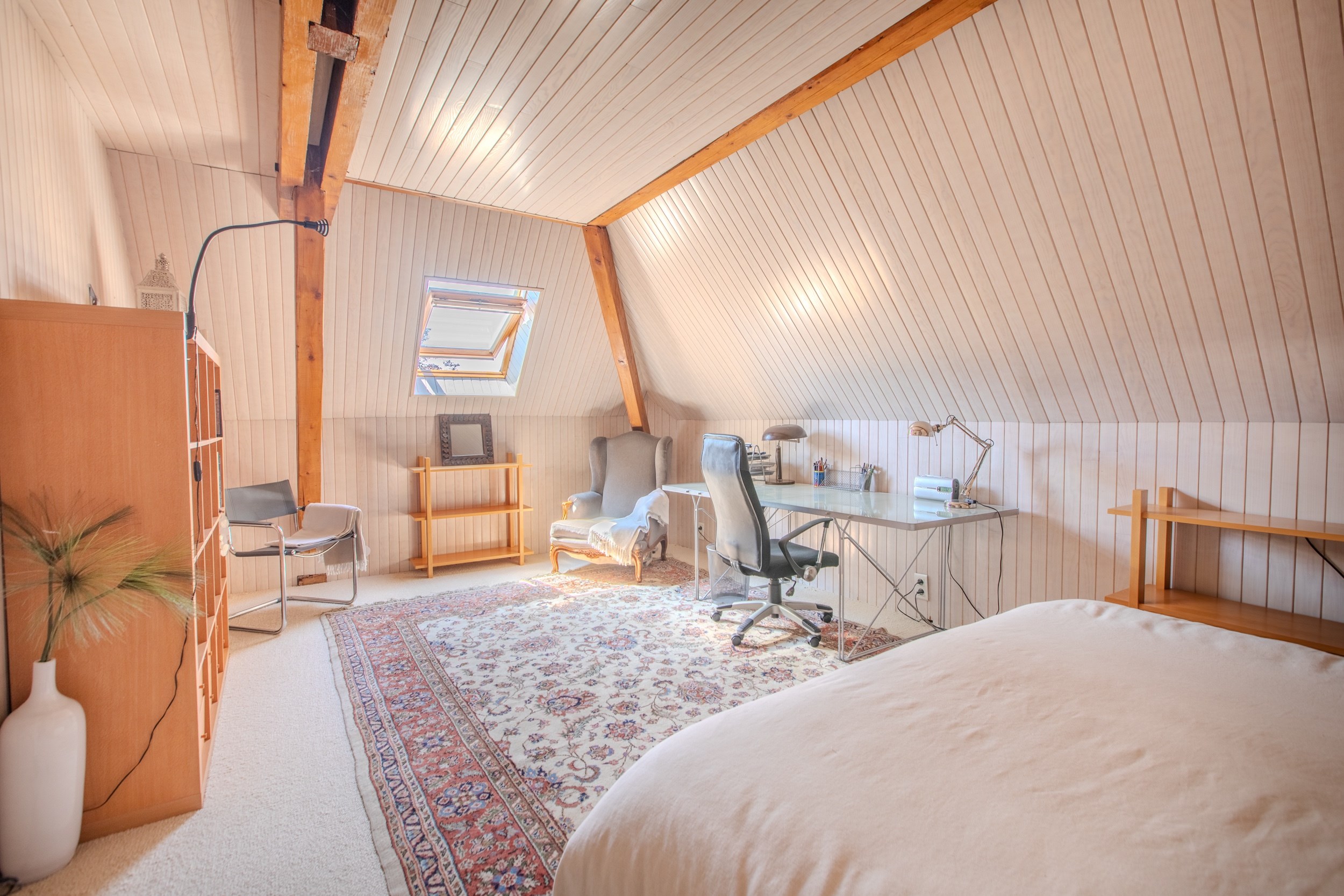  Master house in Saint Julien en Genevois - 物件實景