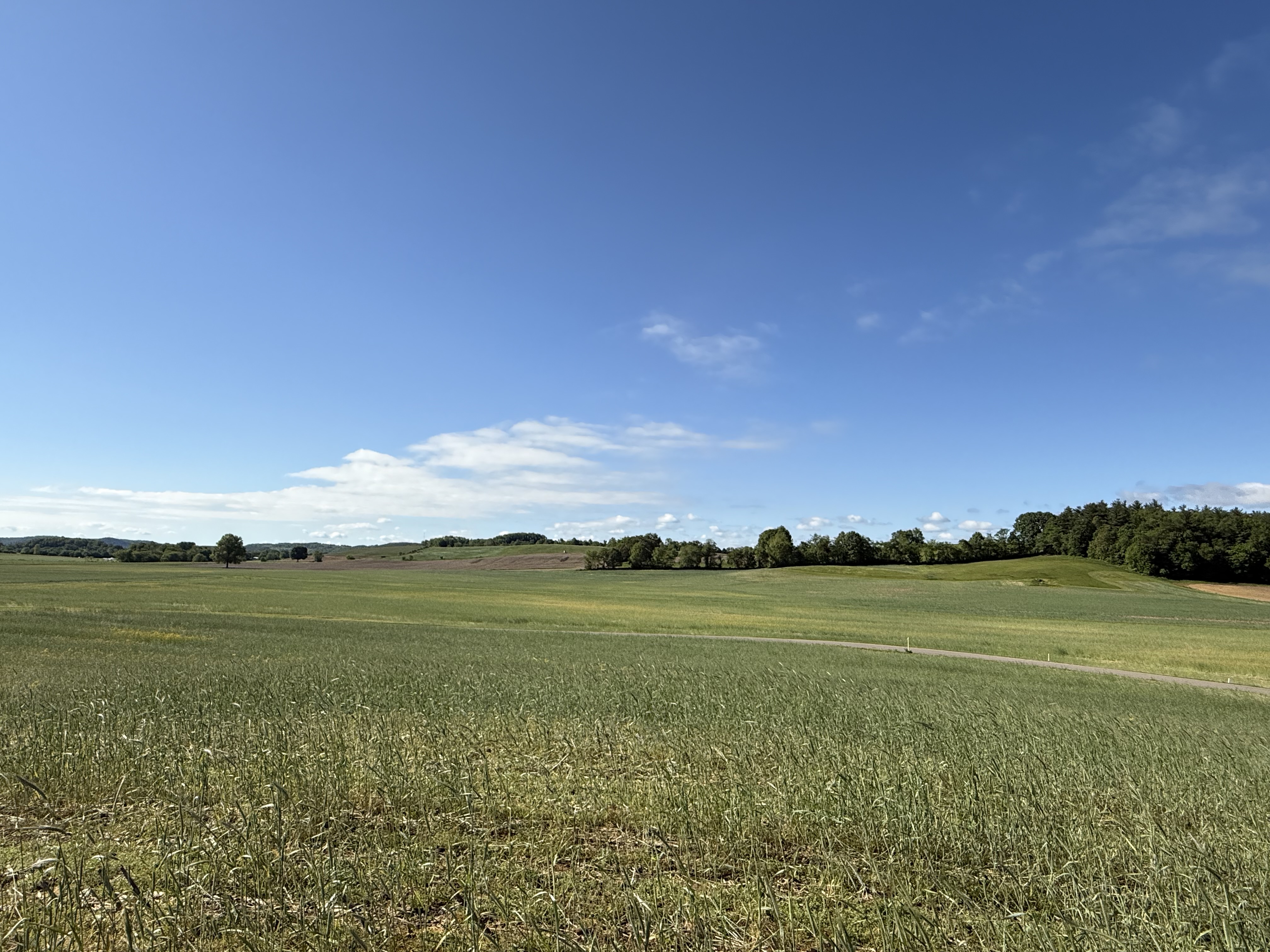 West Lafayette, Ohio, 43845, United States, ,Residential,For Sale,1825407