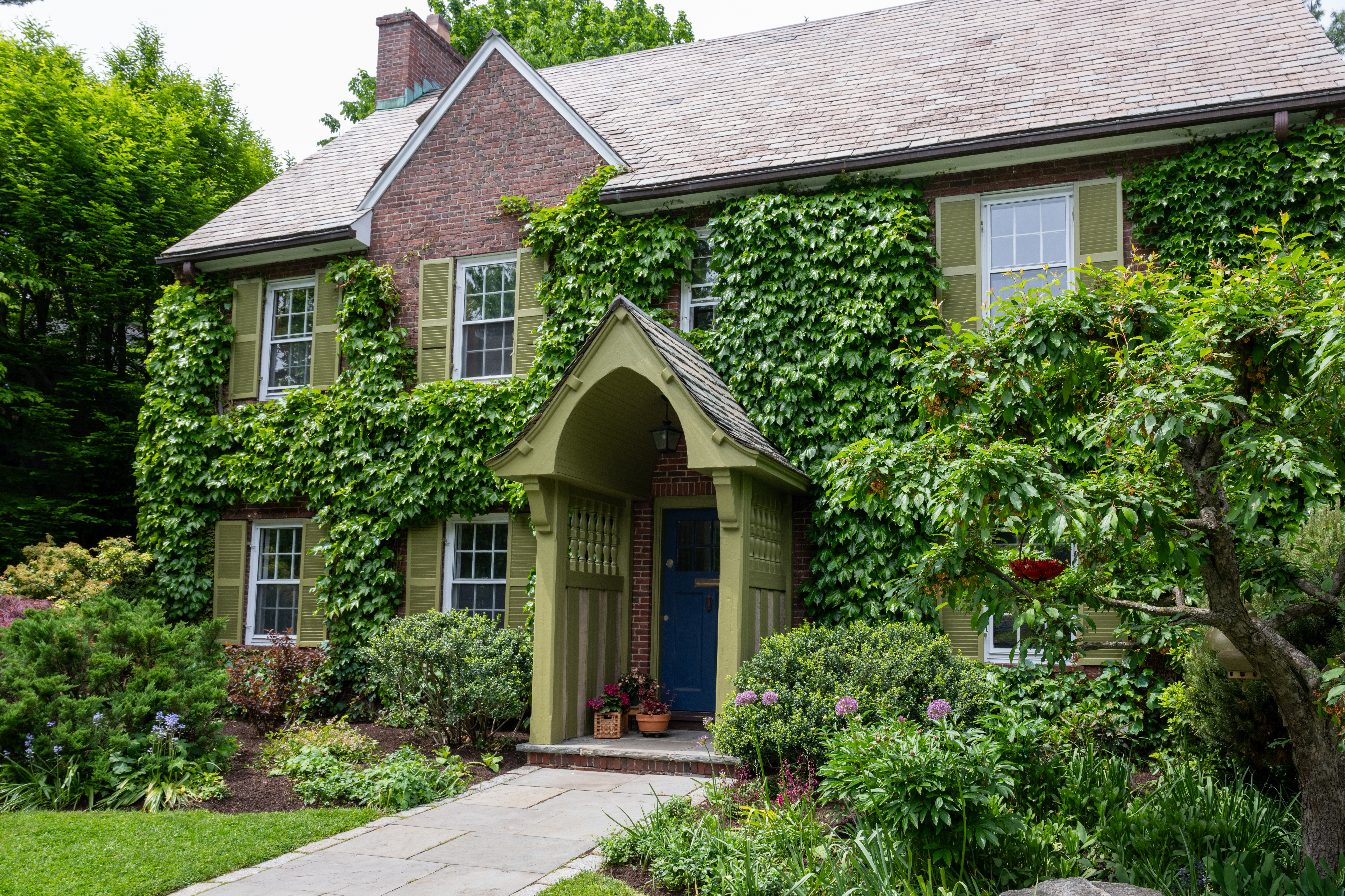  73 Francis Avenue, Cambridge, MA, 02138 - 物件實景