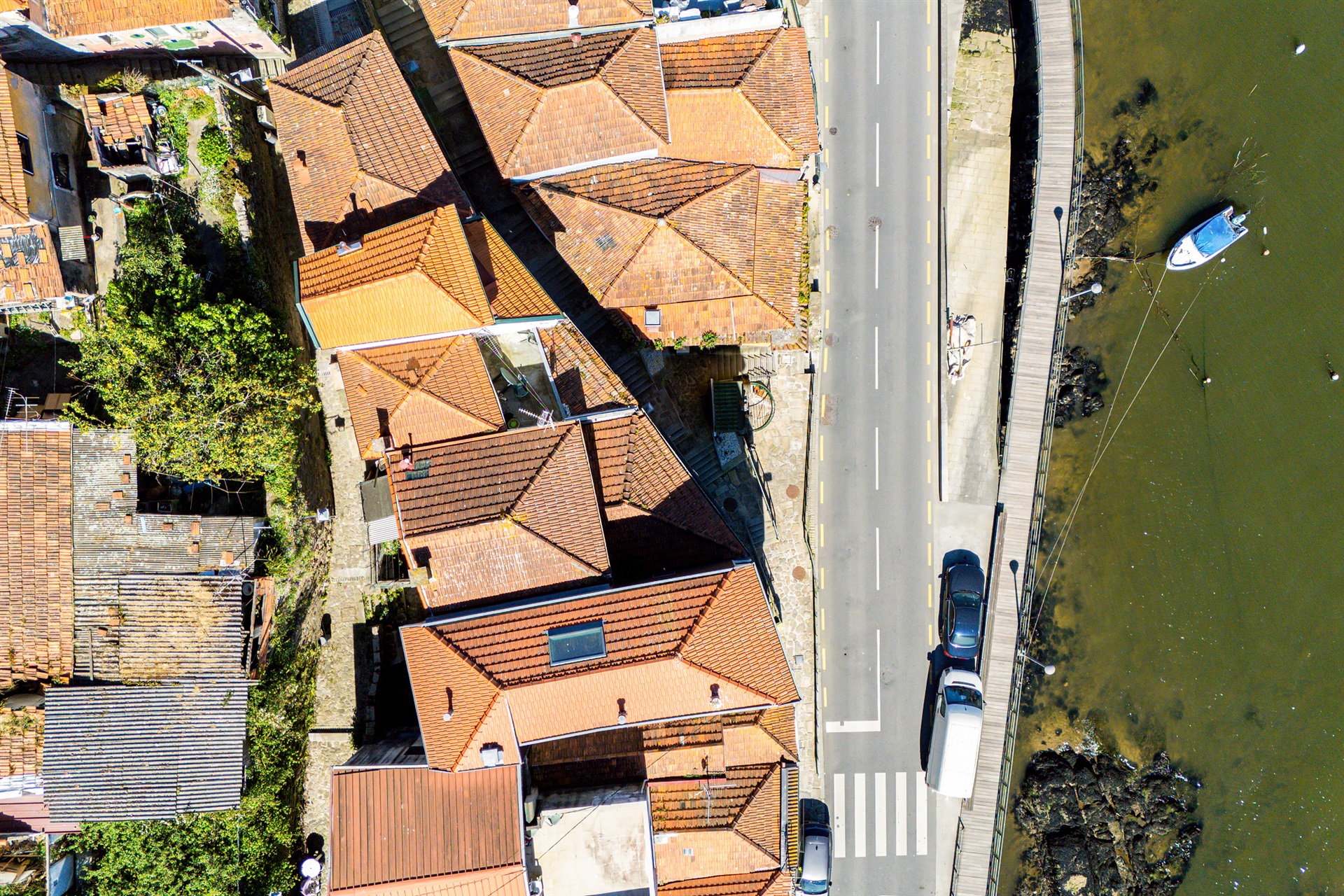  Building for Sale - 物件實景