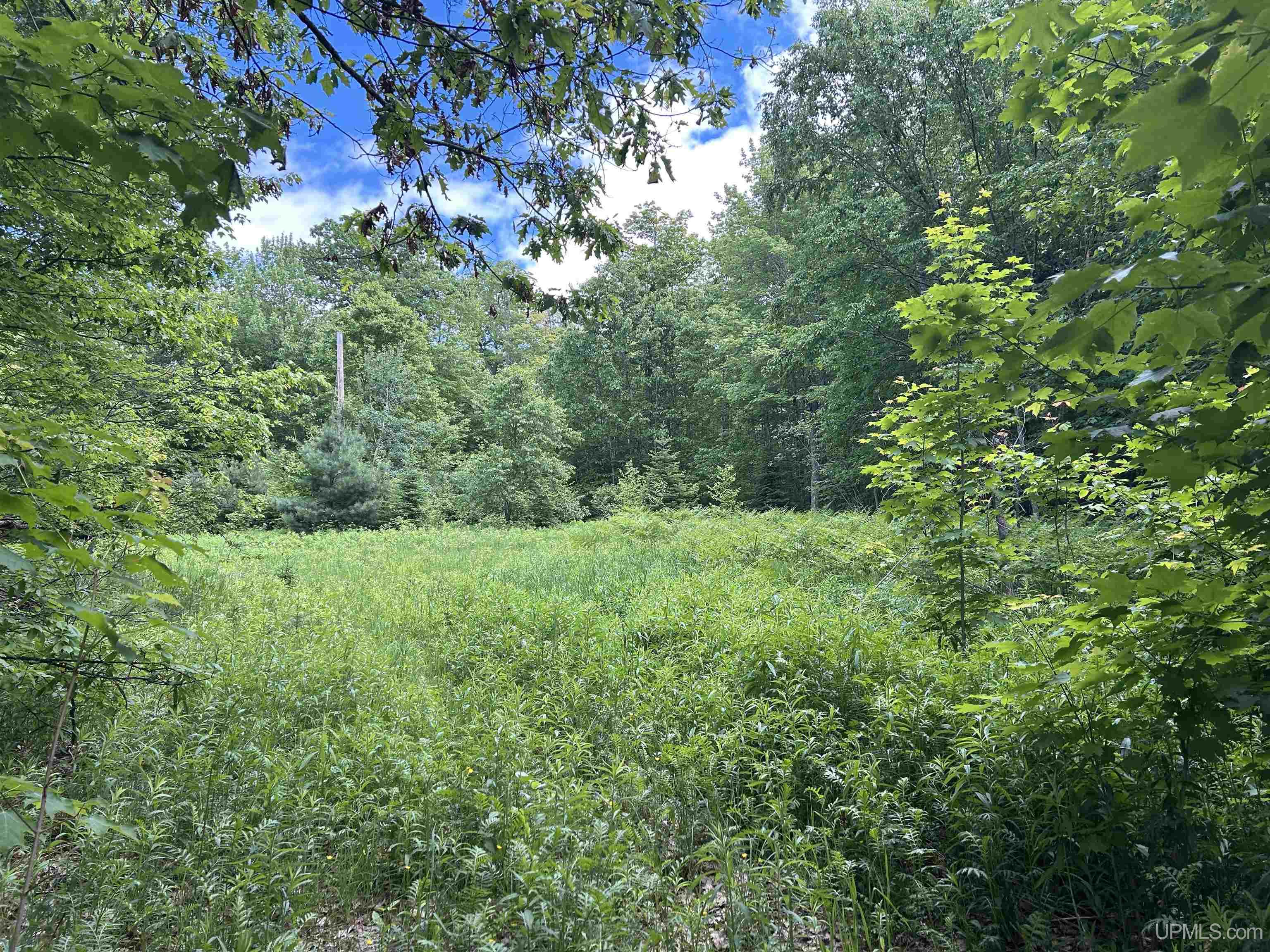 Carlshend Rd, Skandia, MI 49885