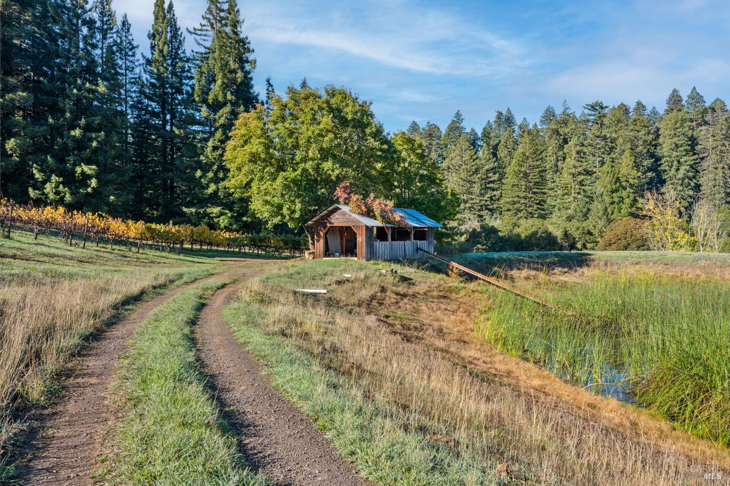 Philo, California, 95466, United States, 3 Bedrooms Bedrooms, ,3 BathroomsBathrooms,Residential,For Sale,1987364