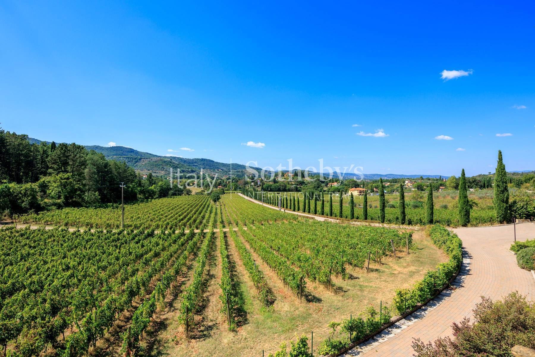 Wine estate with SPA and restaurant facilities - 物件實景