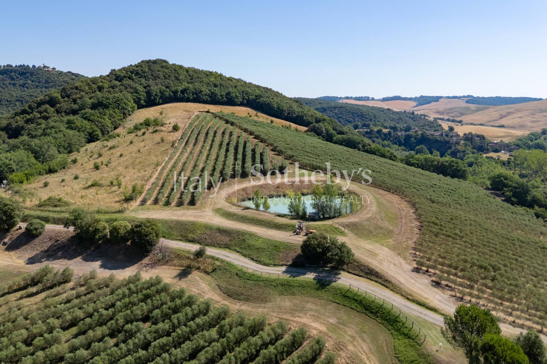  Tuscan estate with vineyards and winery - 物件實景