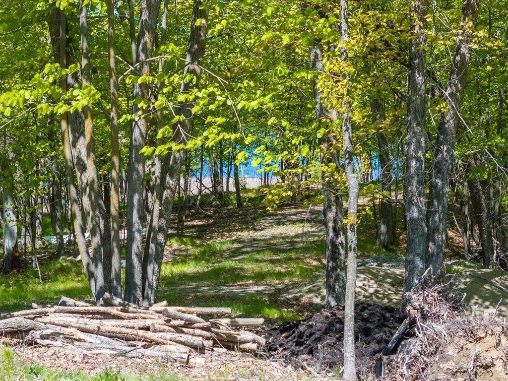 Cohasset, Minnesota, 55721, United States, ,Land,For Sale,1850344