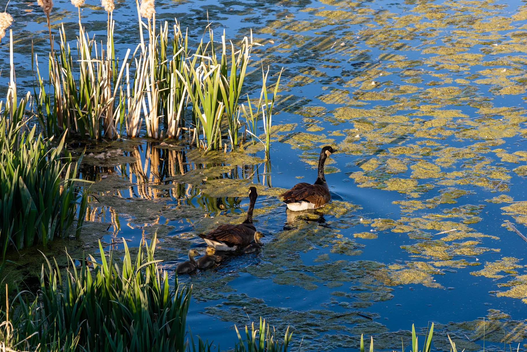  Riverfront Ranch-Waterhouse Sanctuary Oakley Utah - 物件實景