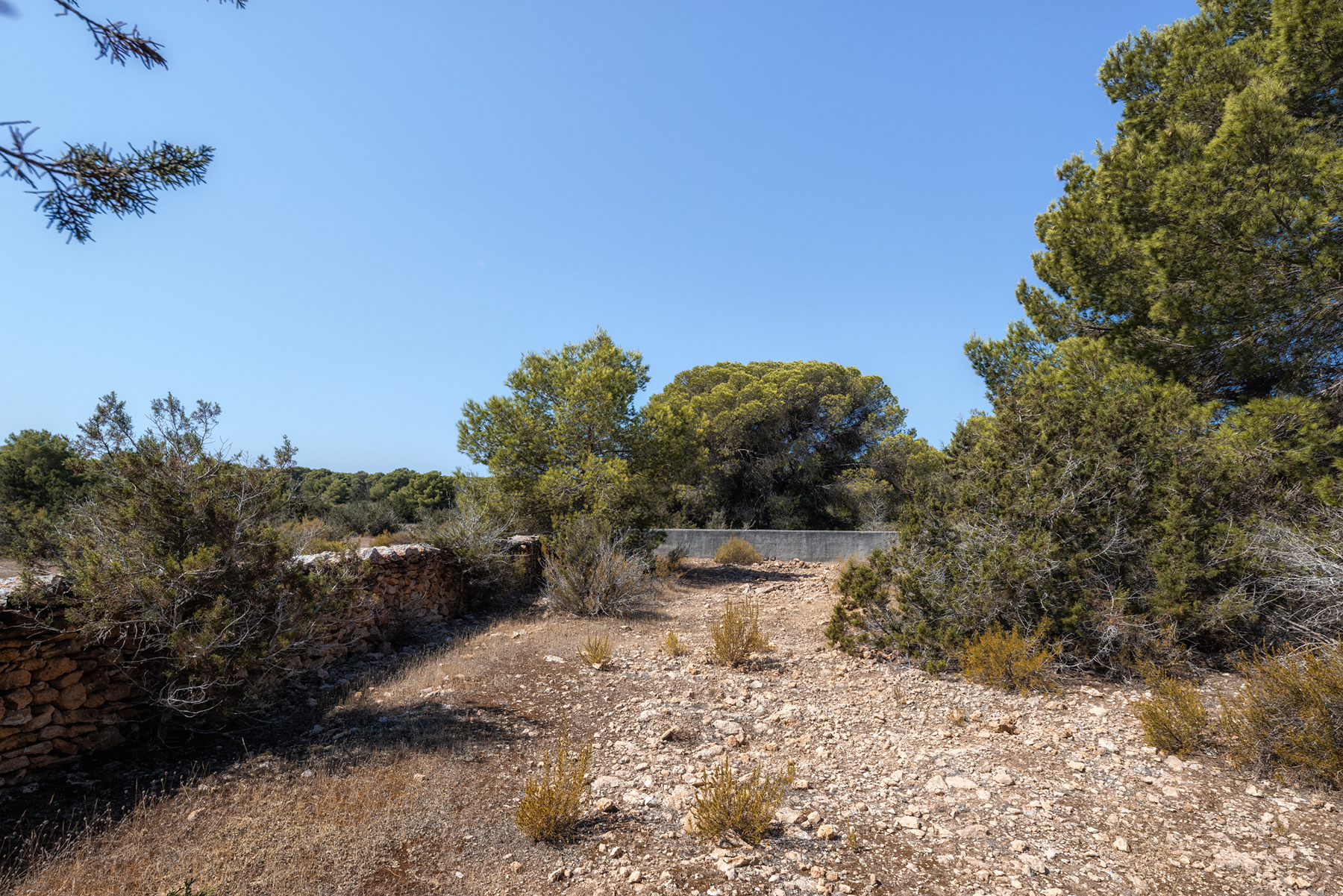  Country house to renovate in Formentera - 物件實景