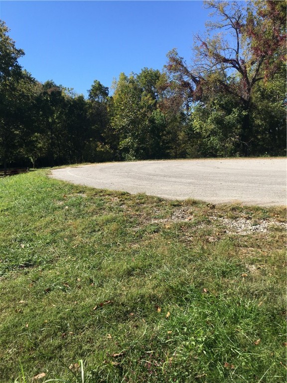 821 Puppy Creek Road, Lowell, Arkansas, 72745, United States, ,Land,For Sale,821 Puppy Creek Road,1673230