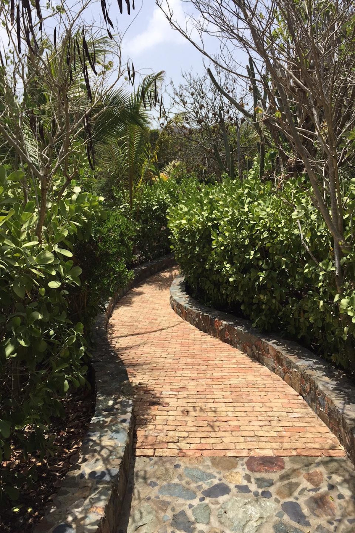  15A-9-8 Rendezvous & Ditleff - 物件實景