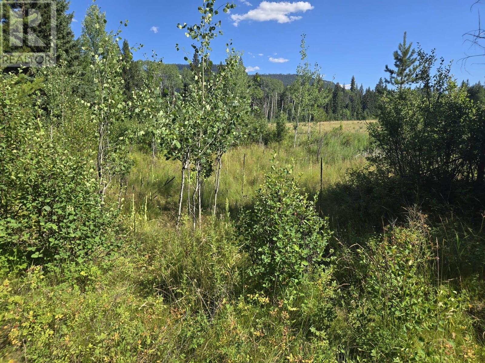 FALKLAND, British Columbia, V0E 1W1, CA, ,Residential,For Sale,1906760
