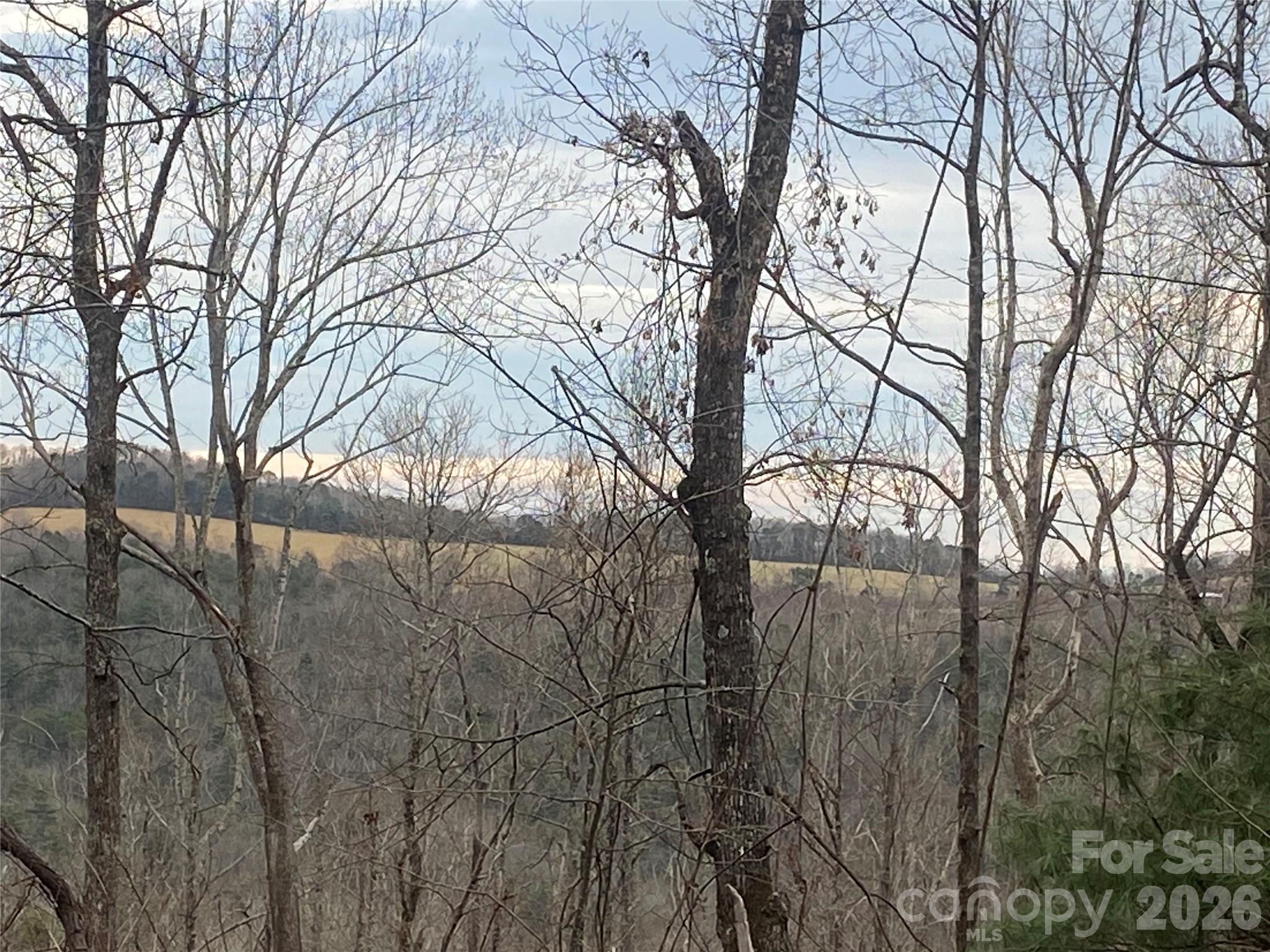 Hendersonville, North Carolina, 28792, United States, ,Land,For Sale,2010421