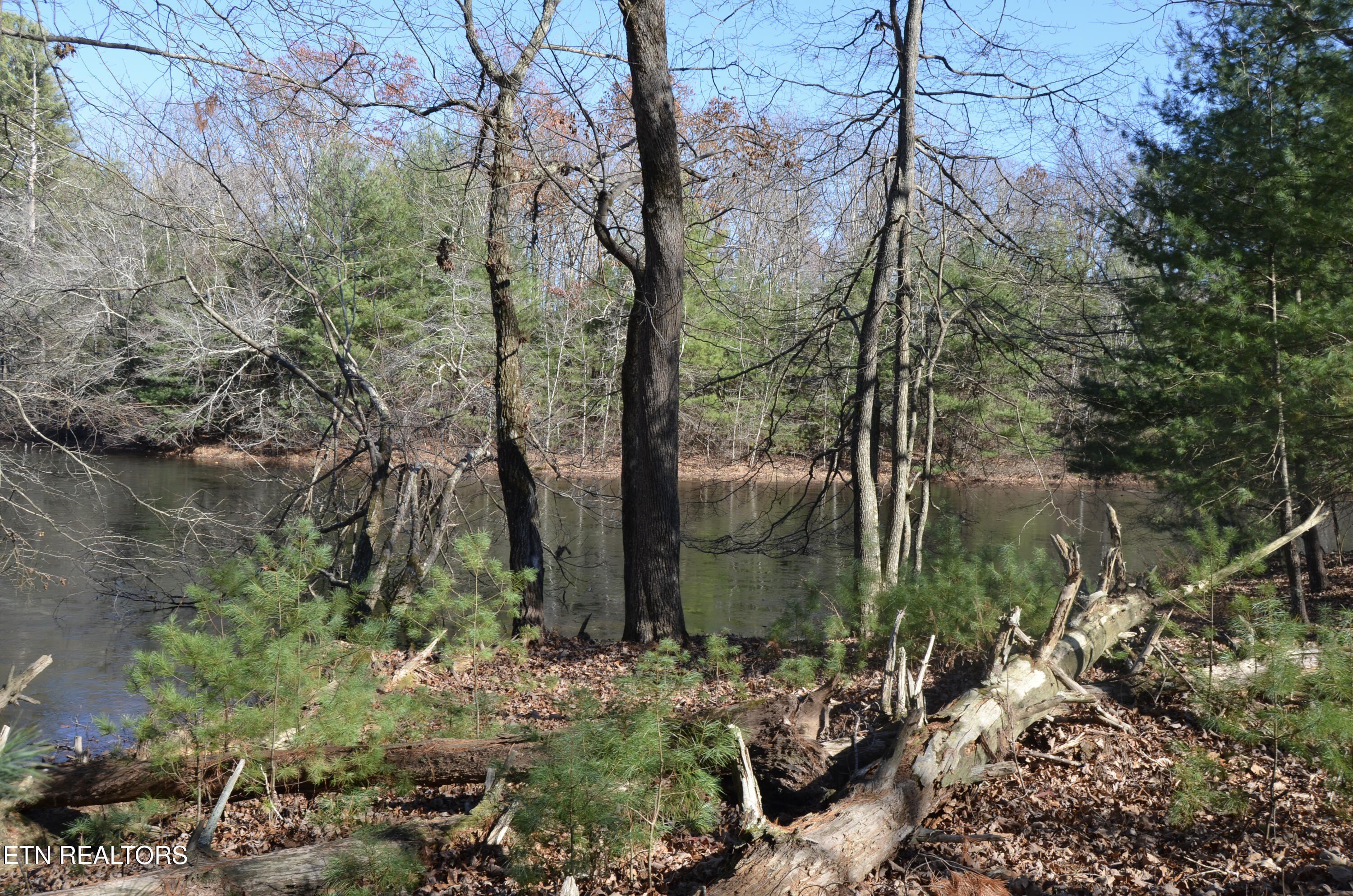 Crossville, Tennessee, 38555, United States, ,Land,For Sale,1983294