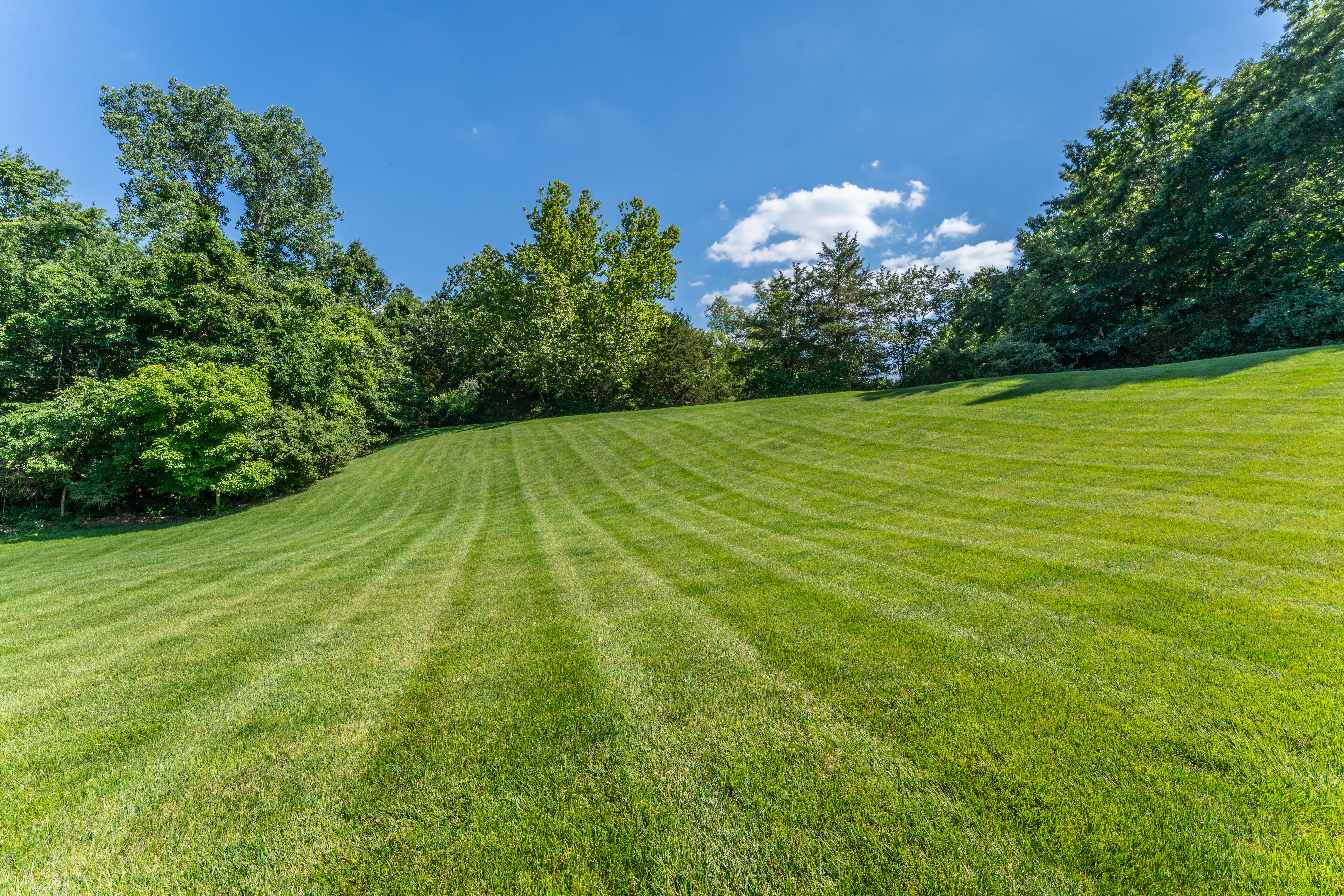  A stunning 1.5-story in sought after Wills Trace subdivision - 物件實景