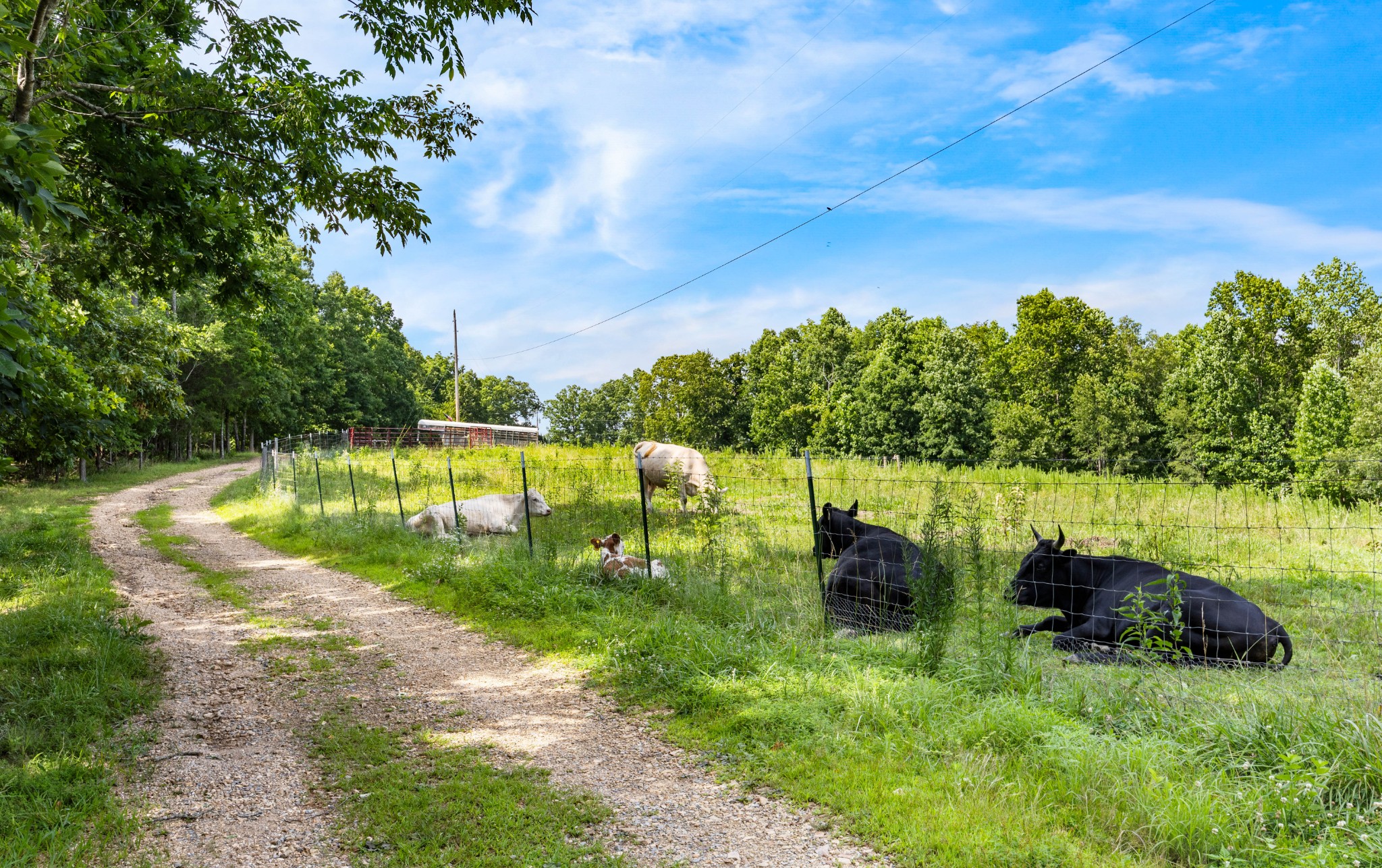 Indian Mound, Tennessee, 37079, United States, 3 Bedrooms Bedrooms, ,2 BathroomsBathrooms,Residential,For Sale,1866881