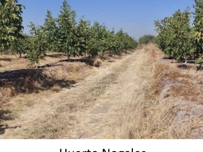 San Carlos, Chile, ,Residential,For Sale,1708027