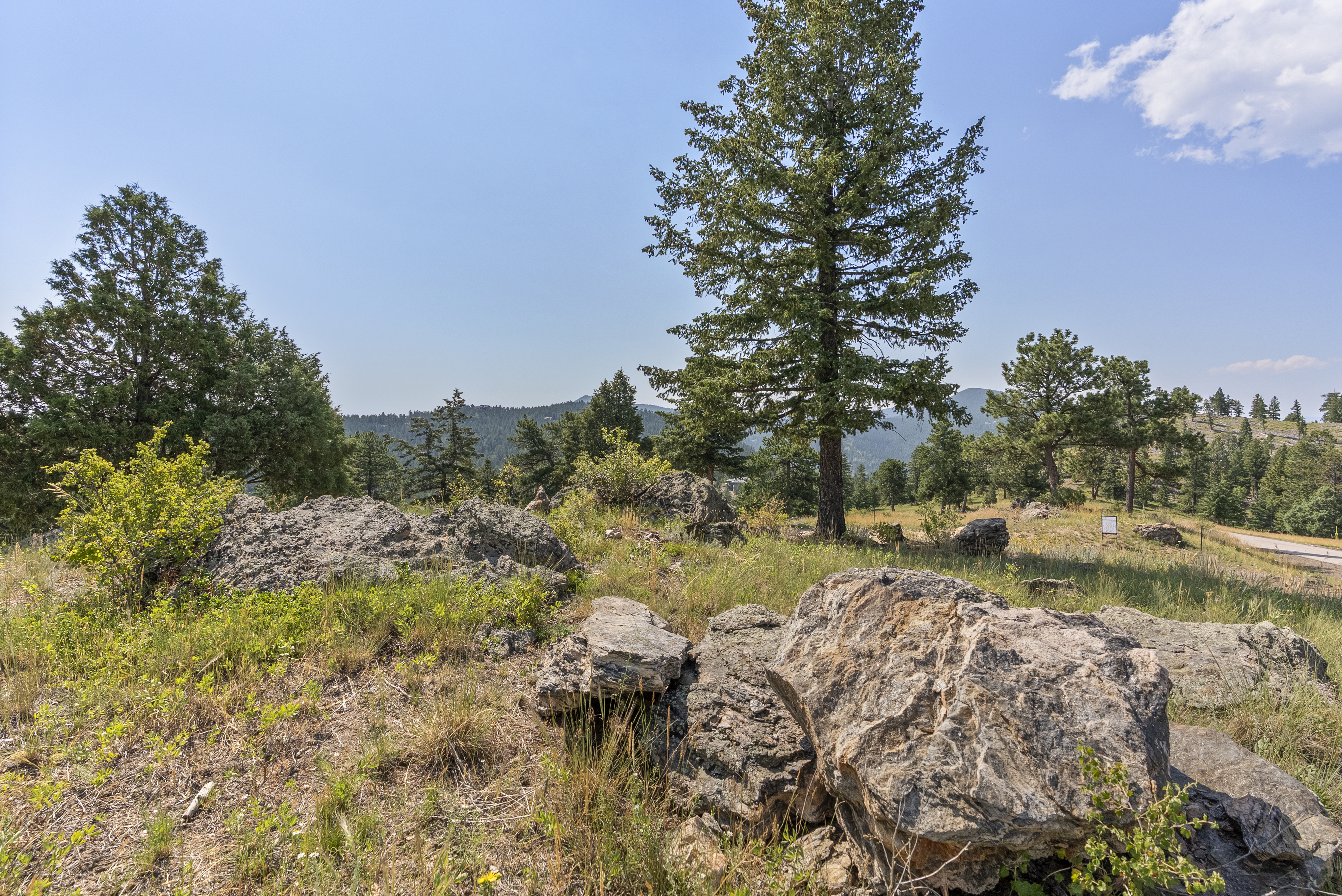  Acreage Available in Evergreen