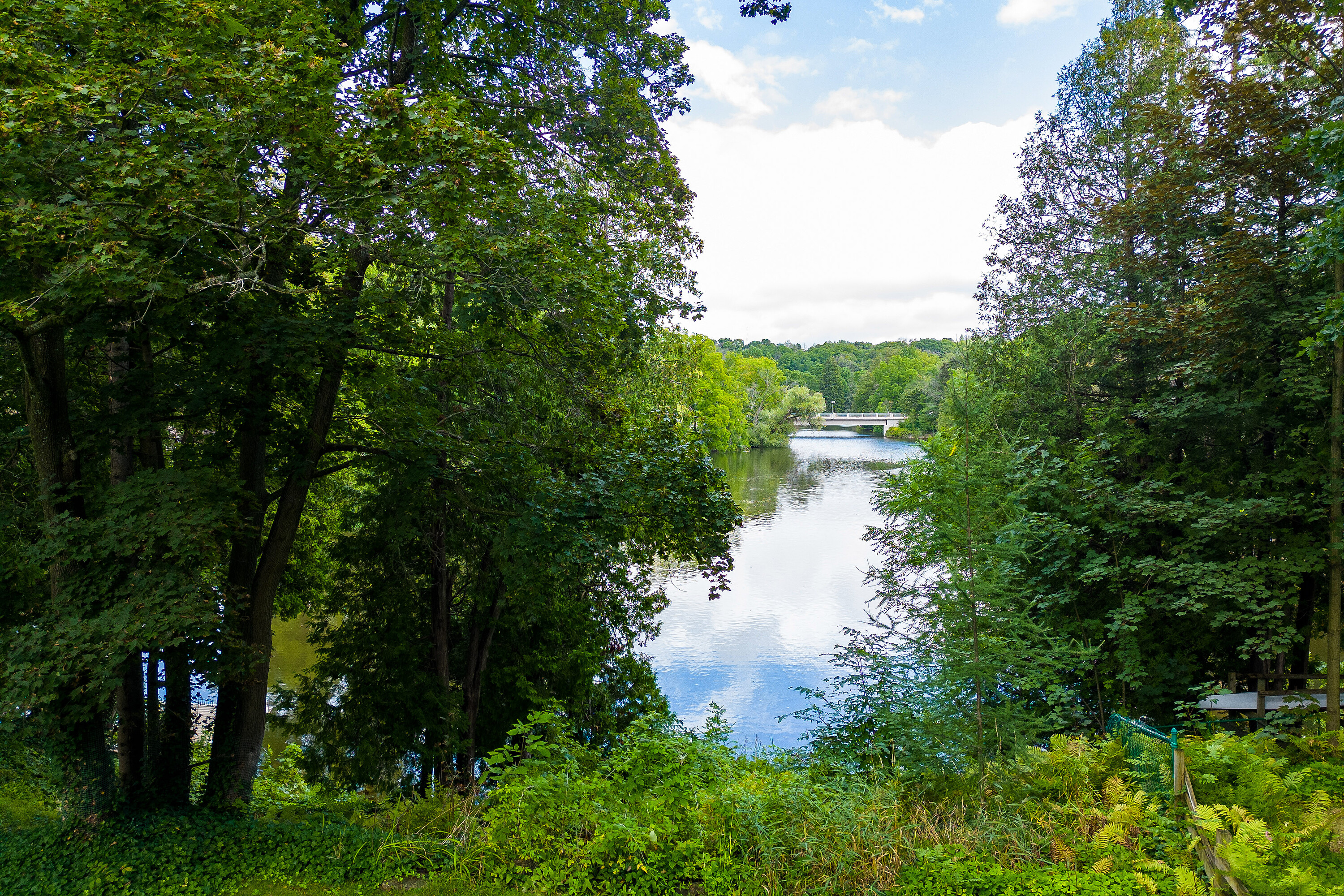  Picturesque Sydenham River - 物件實景