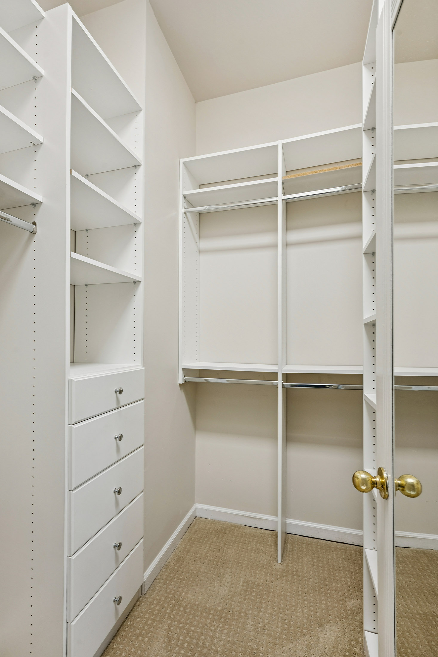  Fabulous Home in The Willows in Oakgrove - 物件實景