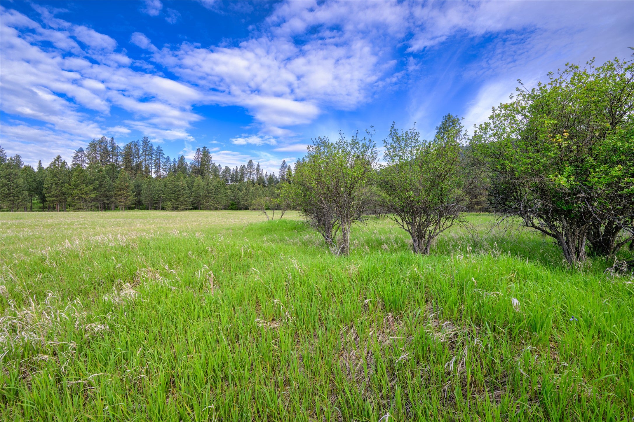 St Regis, Montana, 59866, United States, ,Land,For Sale,1848990