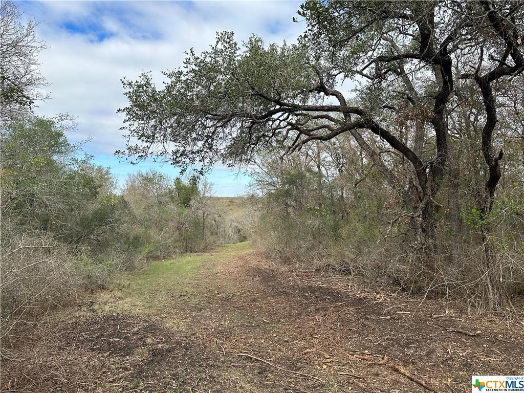 17800 E Fm 2268, Holland, Texas, 76534, United States, ,Residential,For Sale,17800 E Fm 2268,1413367