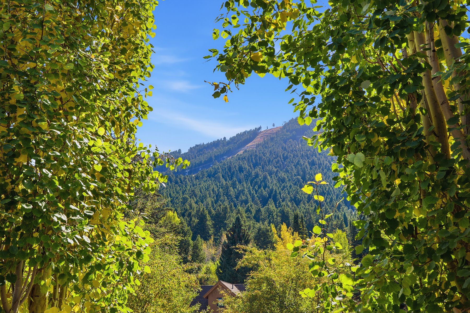  Jackson Hole Pied-à-Terre - 物件實景