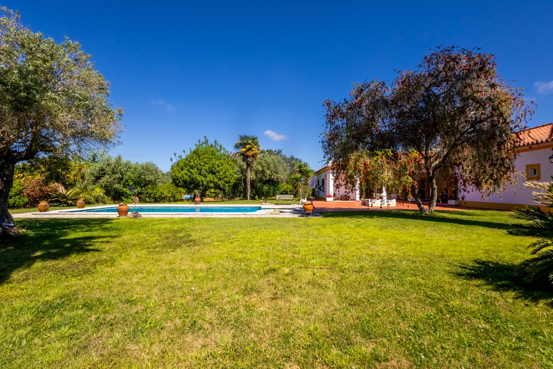  Farm, 5 bedrooms, for Sale - 物件實景