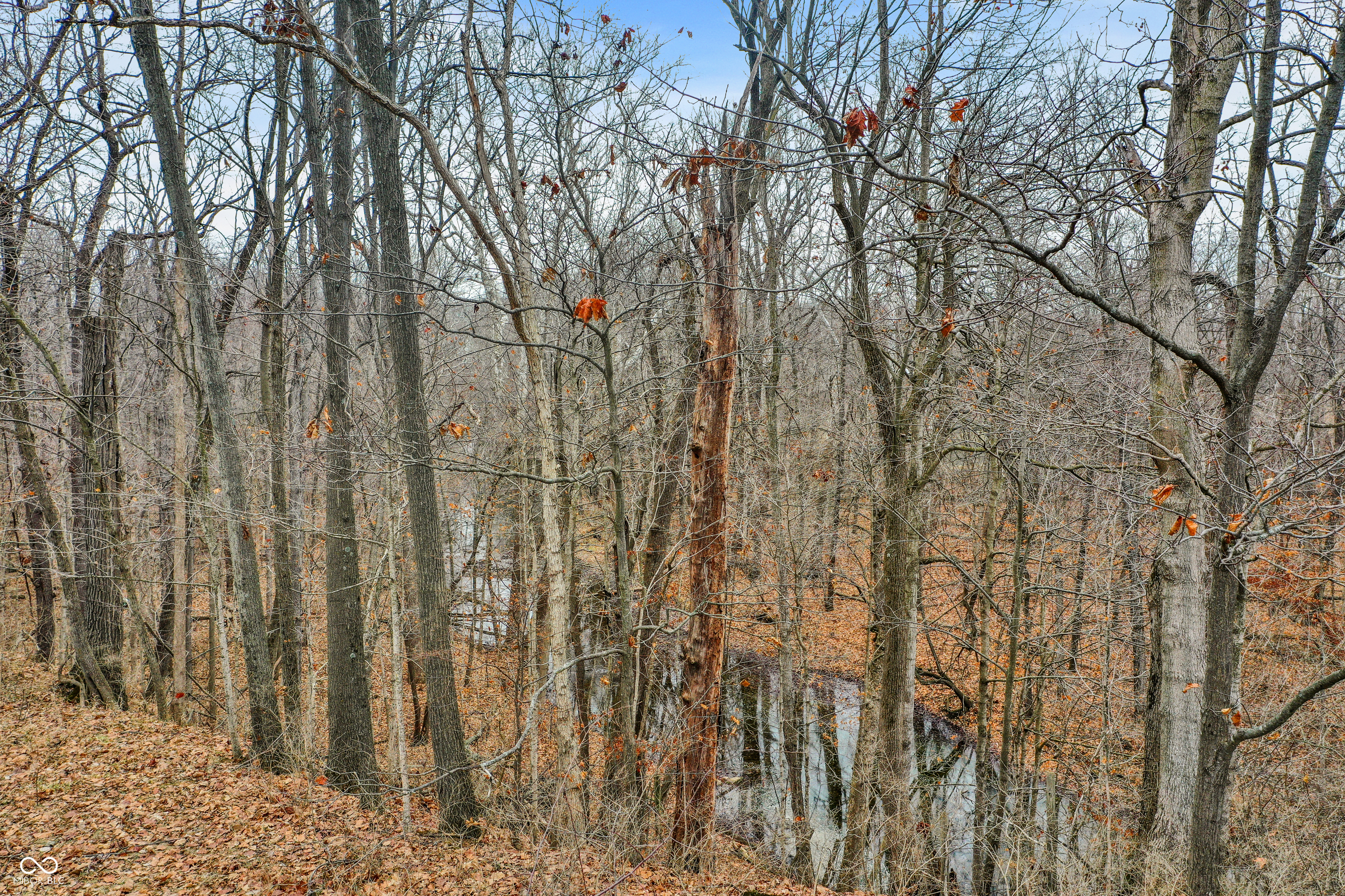 Arcadia, Indiana, 46030, United States, ,Residential,For Sale,2009642