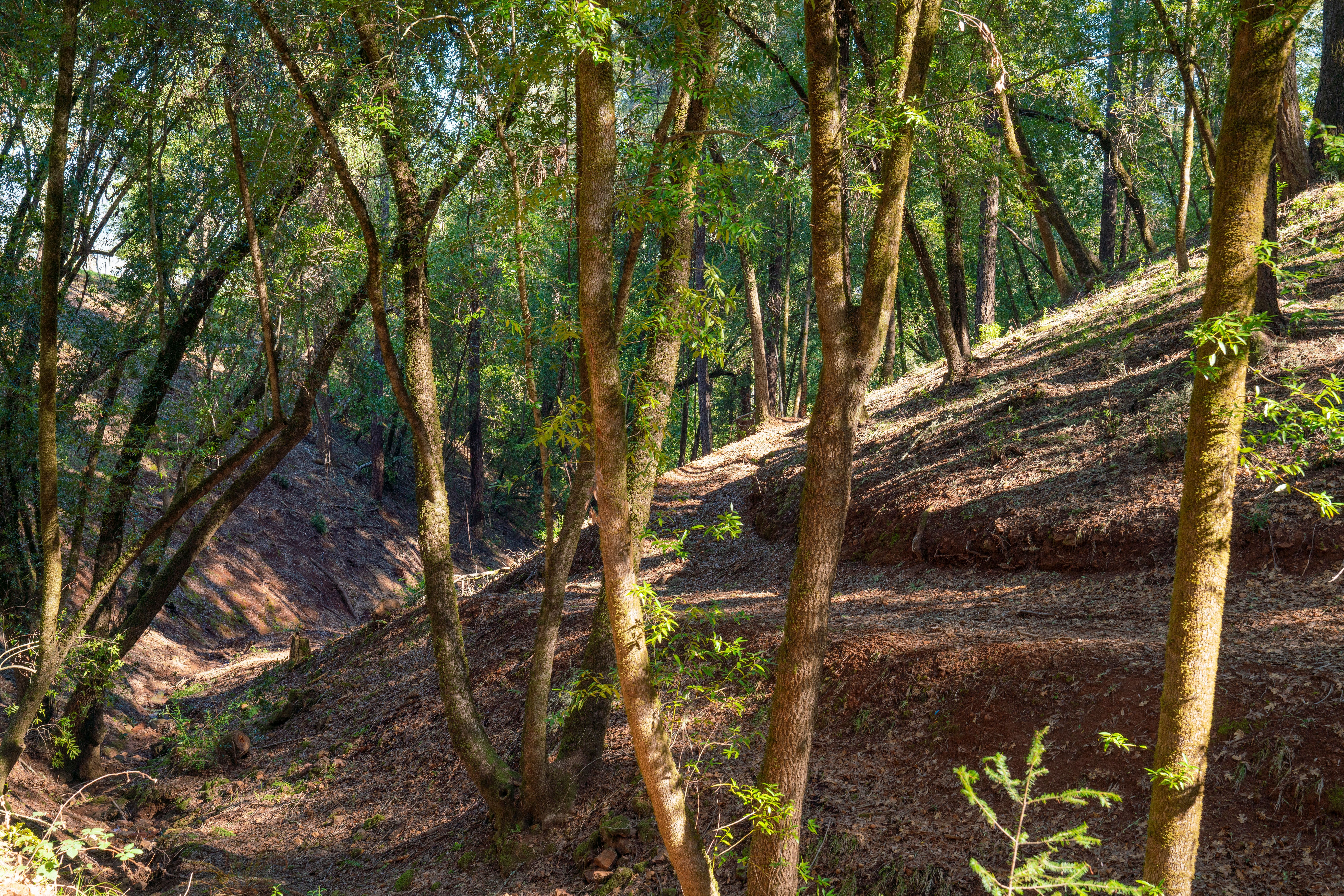  3210 West Dry Creek Road, Healdsburg, CA 95448 - 物件實景