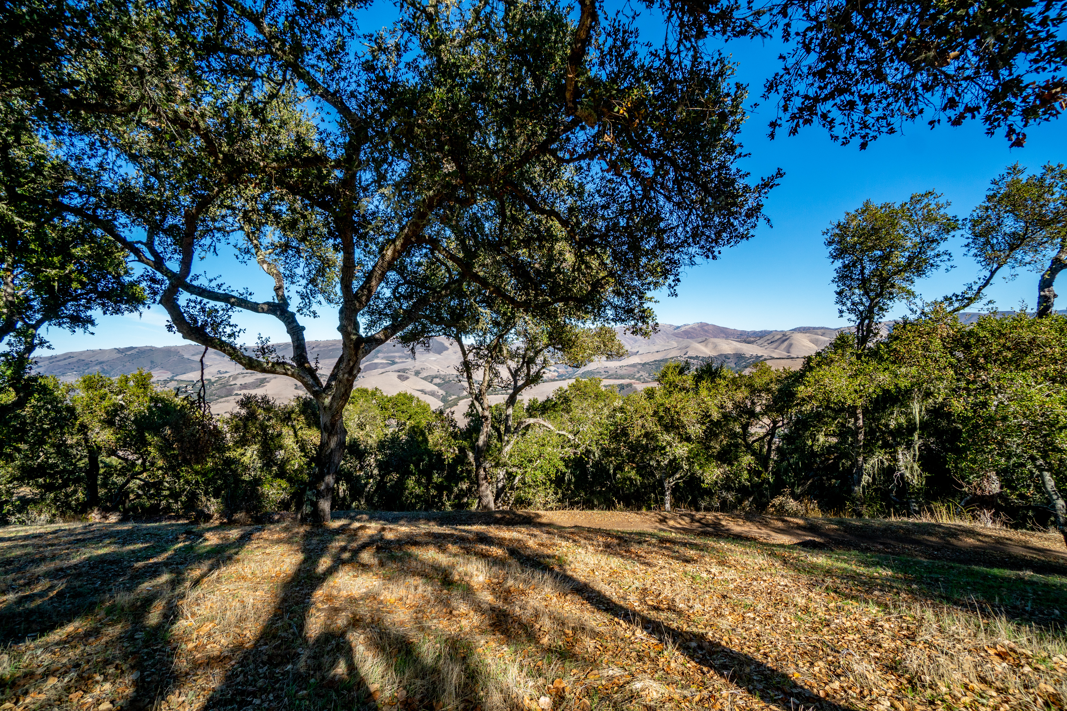  17114 Cachagua Road - 物件實景