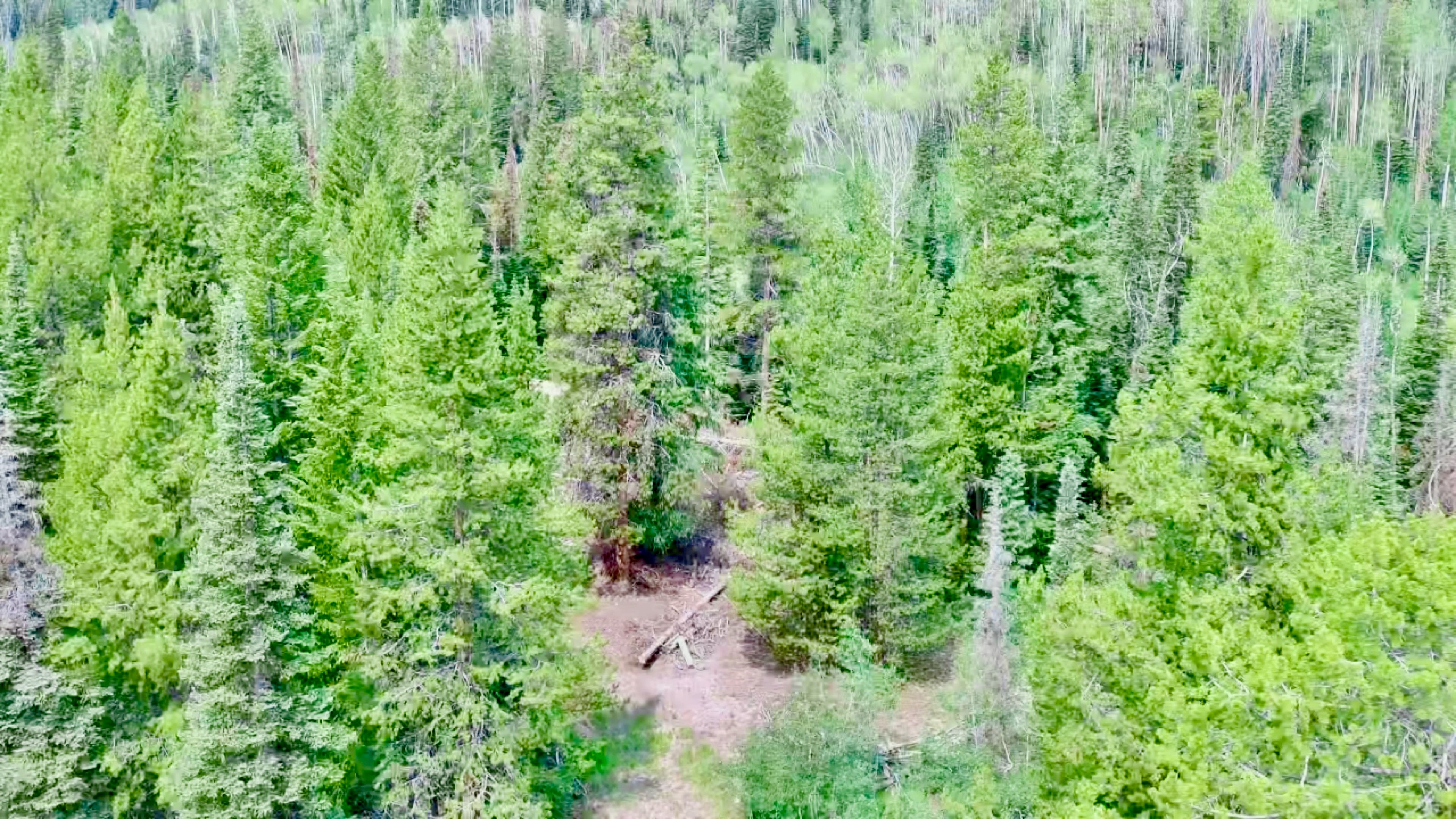  Lot 38 Colt Trail, Oak Creek, CO, 80467 - 物件實景